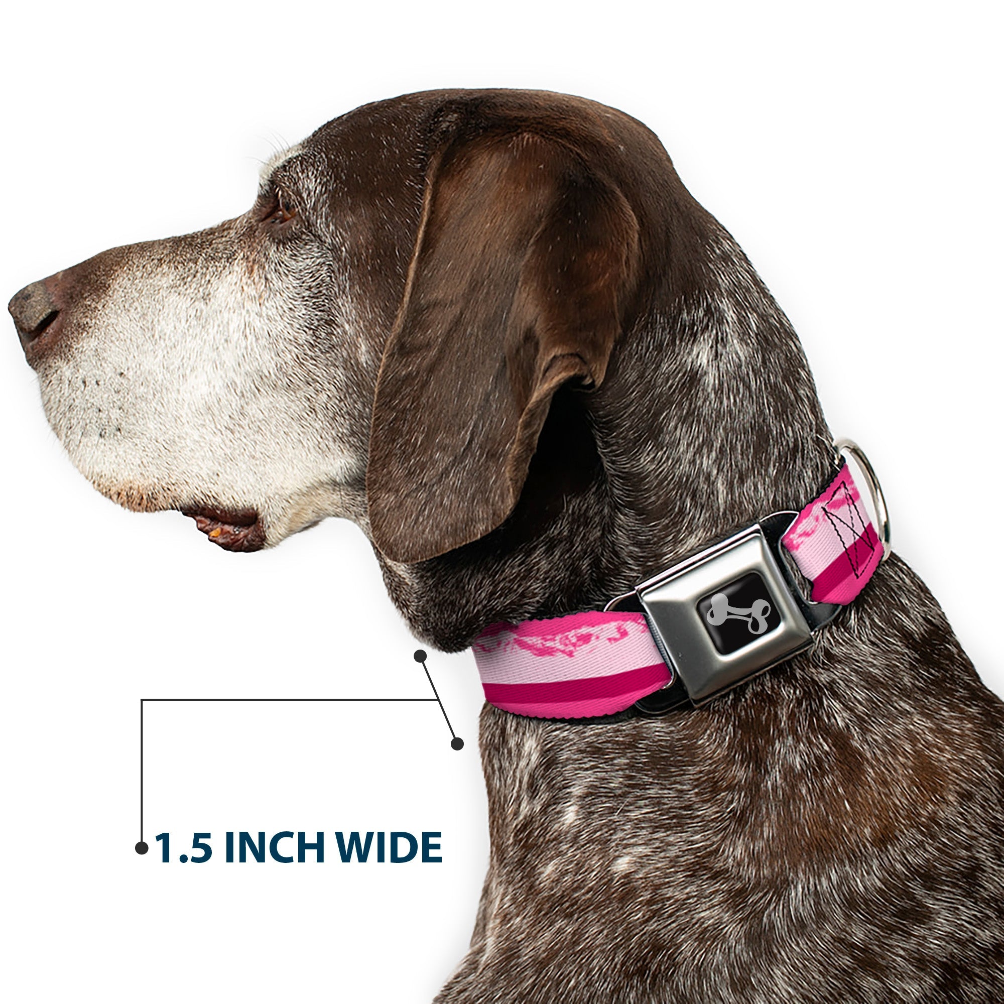 Dog Bone Seatbelt Buckle Collar - Colorado Paw/Mountains Pinks