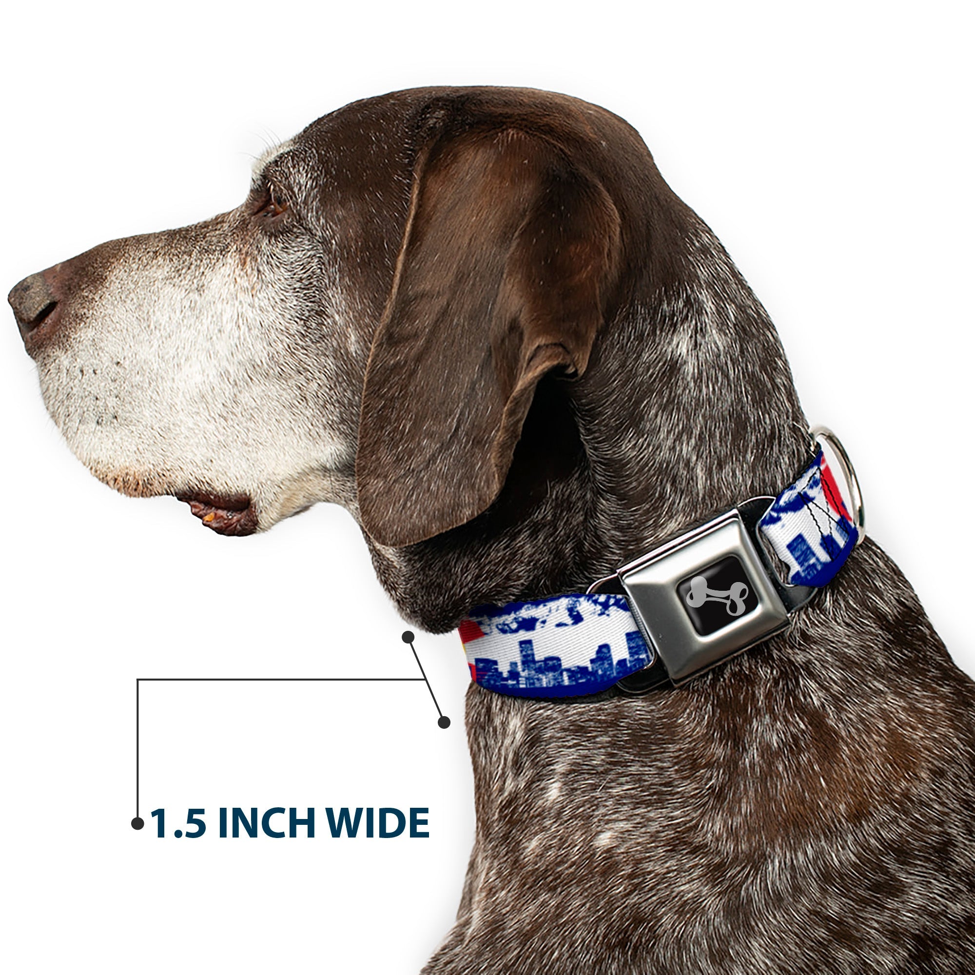 Dog Bone Seatbelt Buckle Collar - Colorado Skyline/Mountains