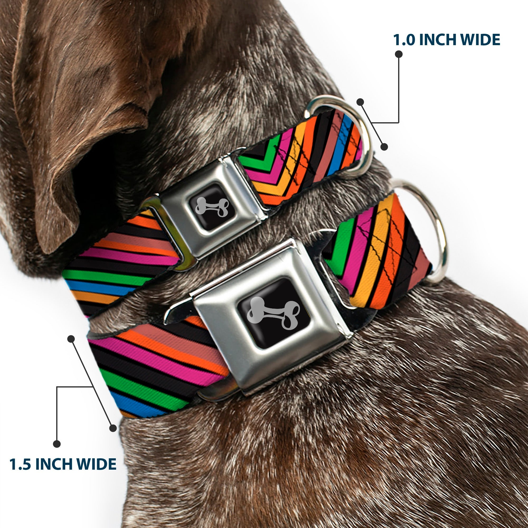 Dog Bone Seatbelt Buckle Collar - Chevron Freehand CLOSE-UP Multi Color