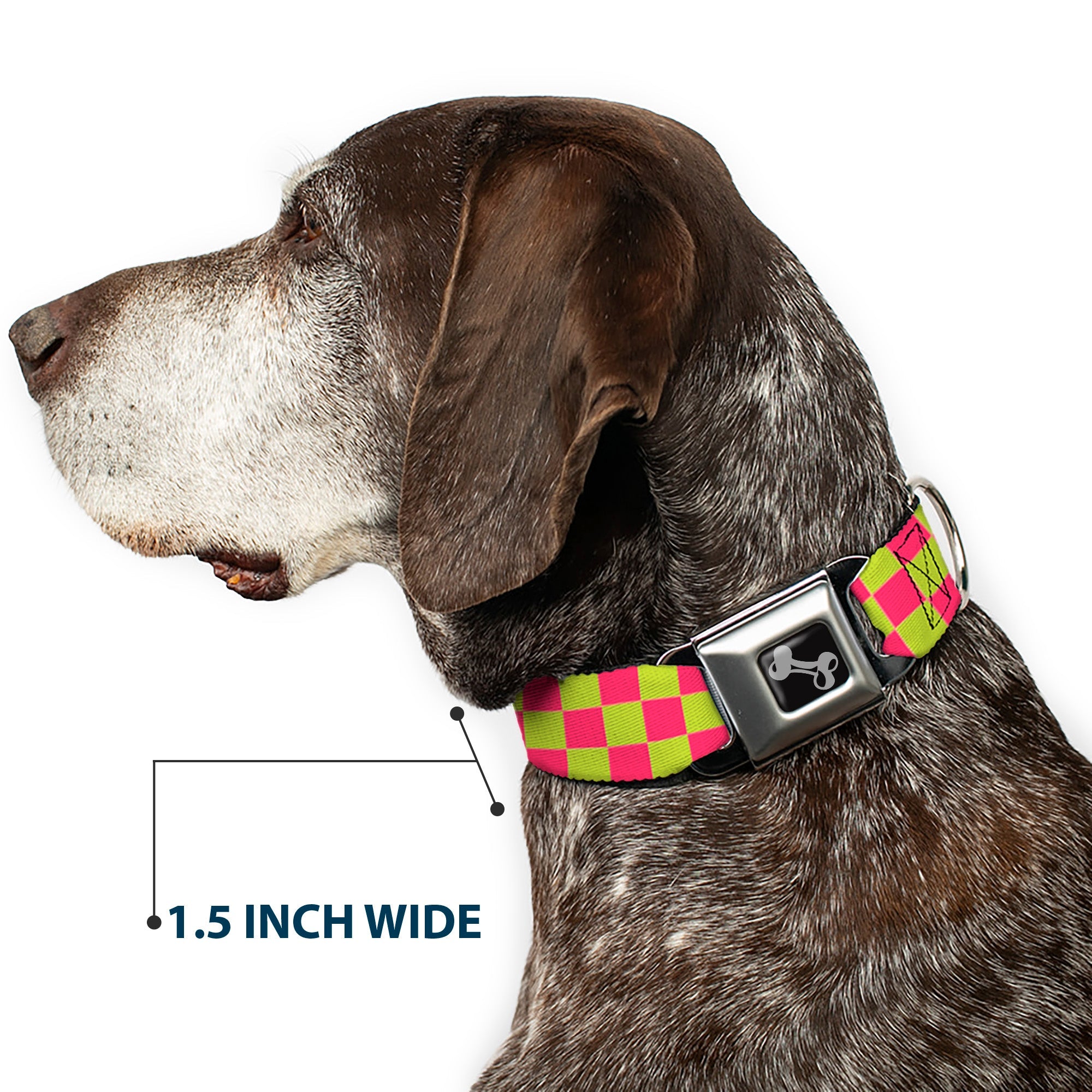 Dog Bone Seatbelt Buckle Collar - Checker Fluoresecent Pink/Yellow