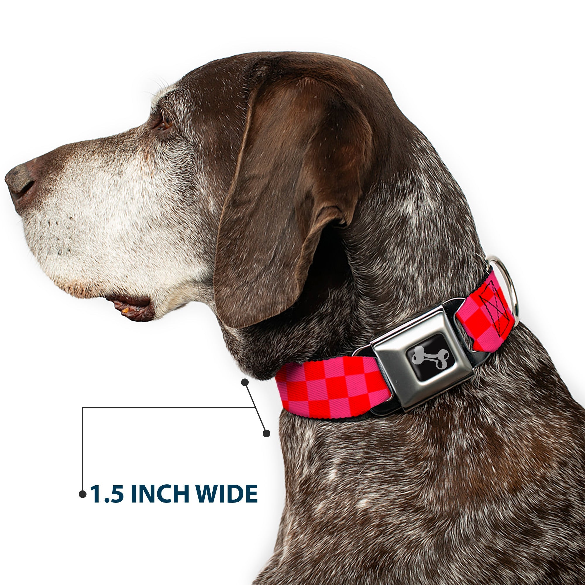 Dog Bone Seatbelt Buckle Collar - Checker Fluoresecent Orange/Pink