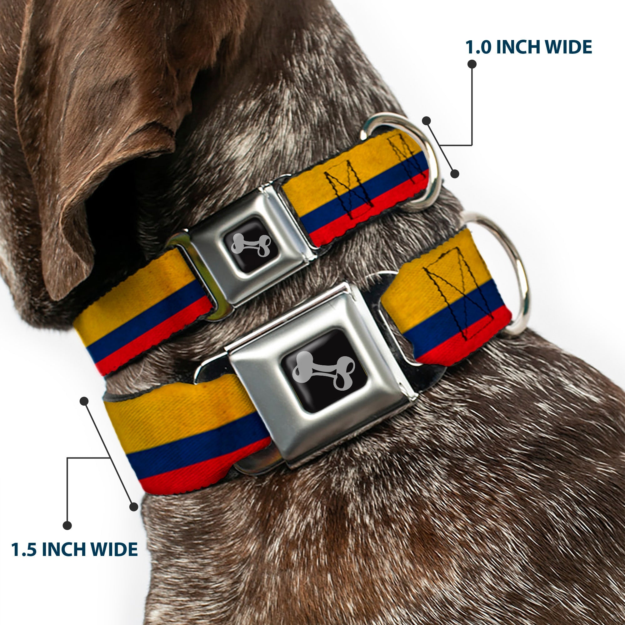 Dog Bone Seatbelt Buckle Collar - Colombia Flag Distressed