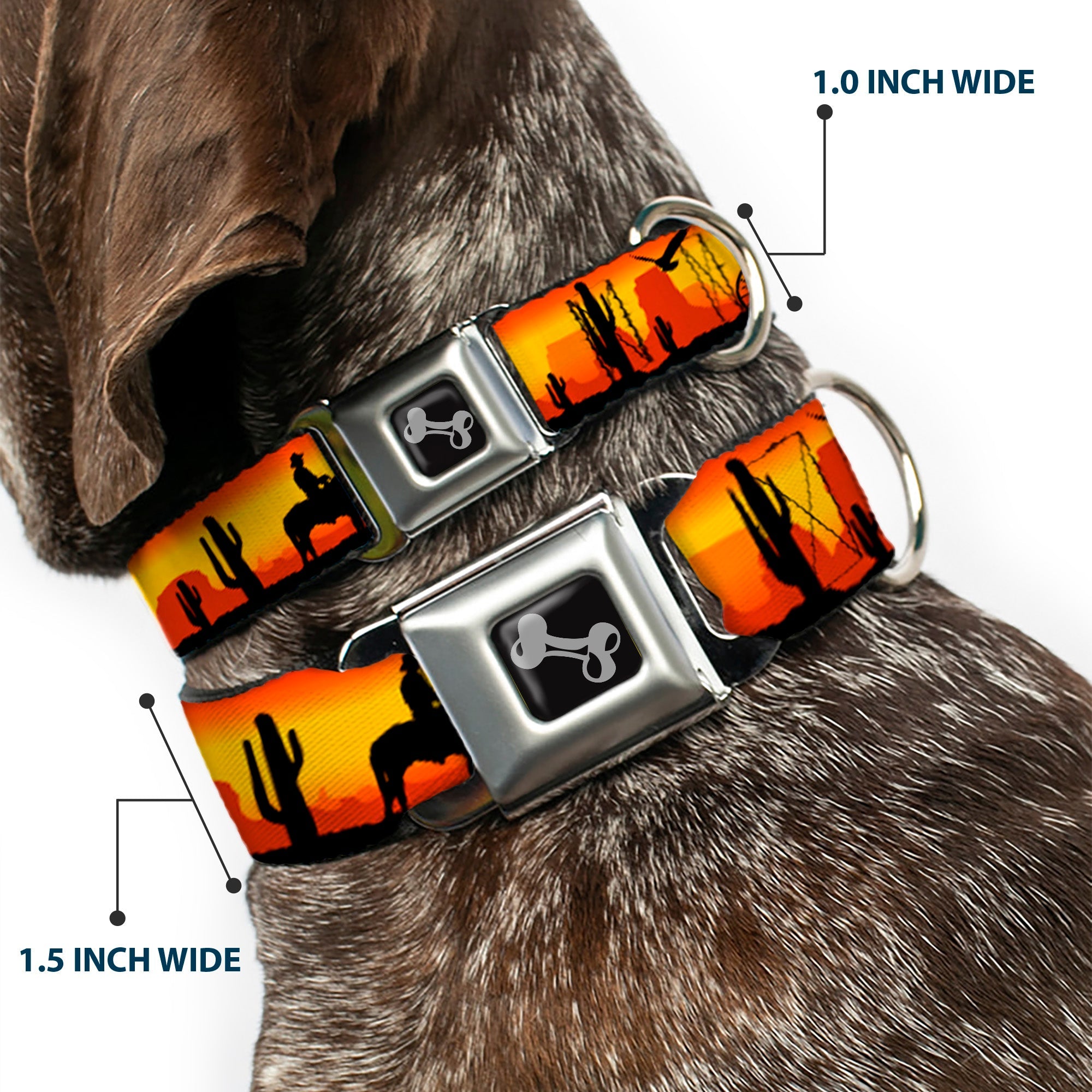 Dog Bone Seatbelt Buckle Collar - Cowboy Silhouette/Western Landscape Reds/Black