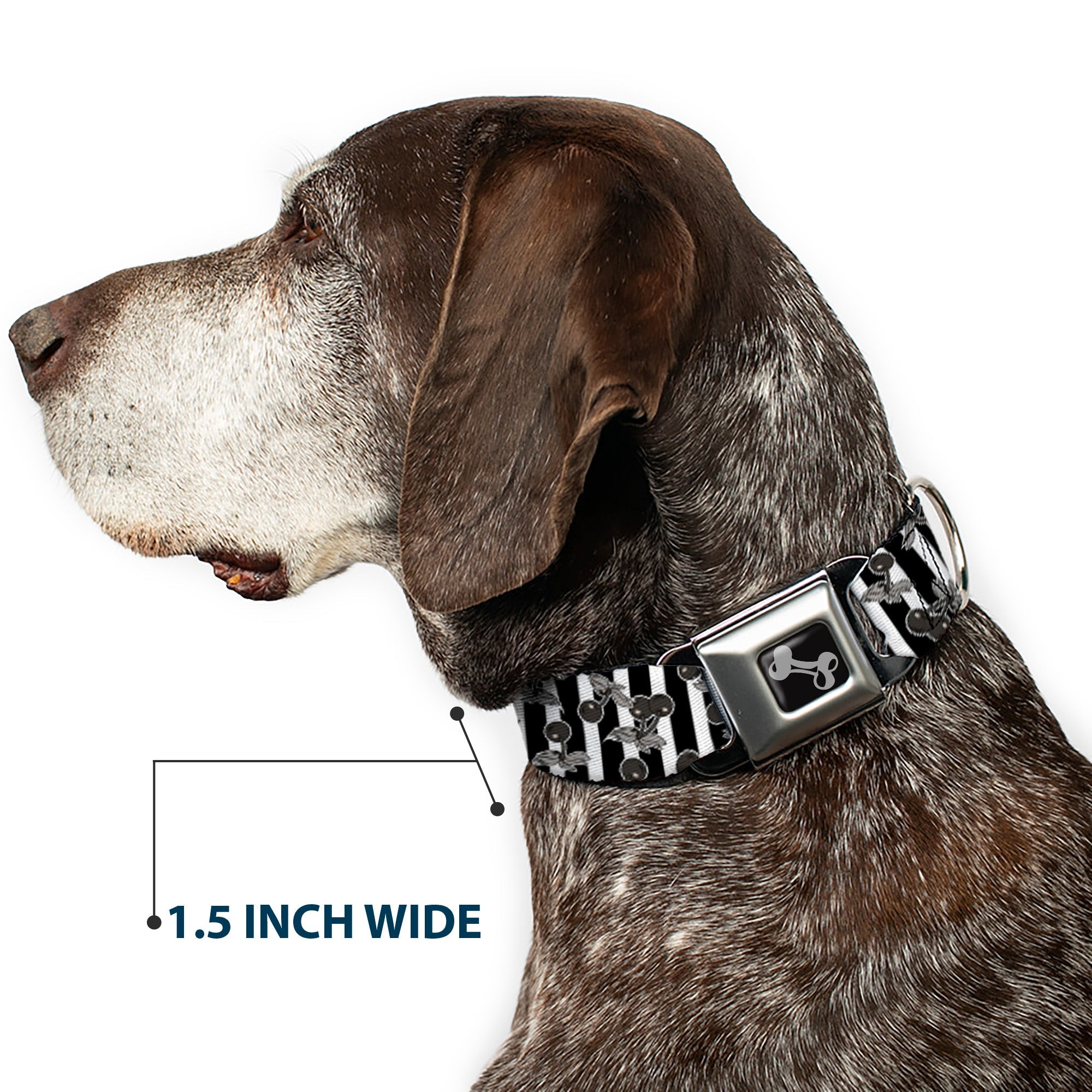 Dog Bone Seatbelt Buckle Collar - Cherries Scattered/Vertical Stripe White/Black/Grays