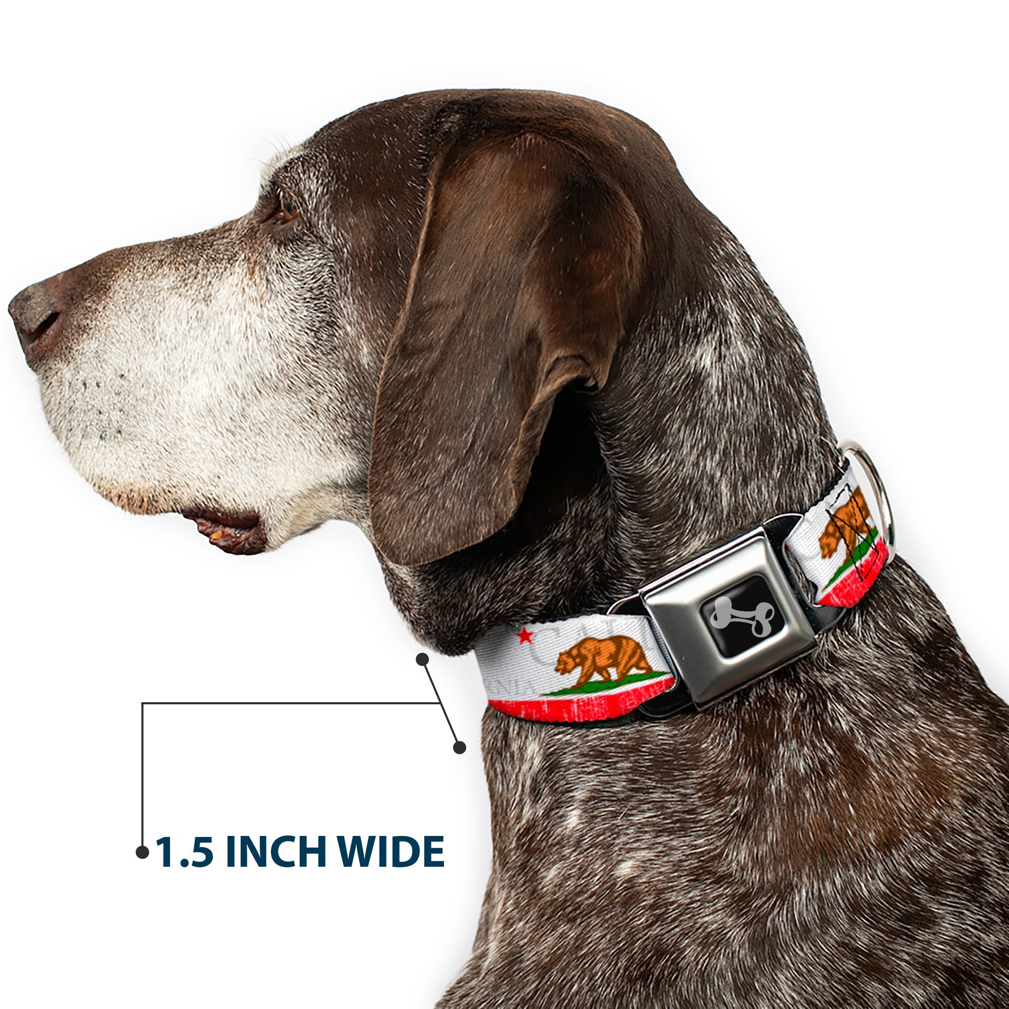 Dog Bone Seatbelt Buckle Collar - CALIFORNIA Bear/Star/Crackle Stripe White/Gray/Red