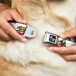 Dog Bone Seatbelt Buckle Collar - CALIFORNIA Bear/Star/Crackle Stripe White/Gray/Red
