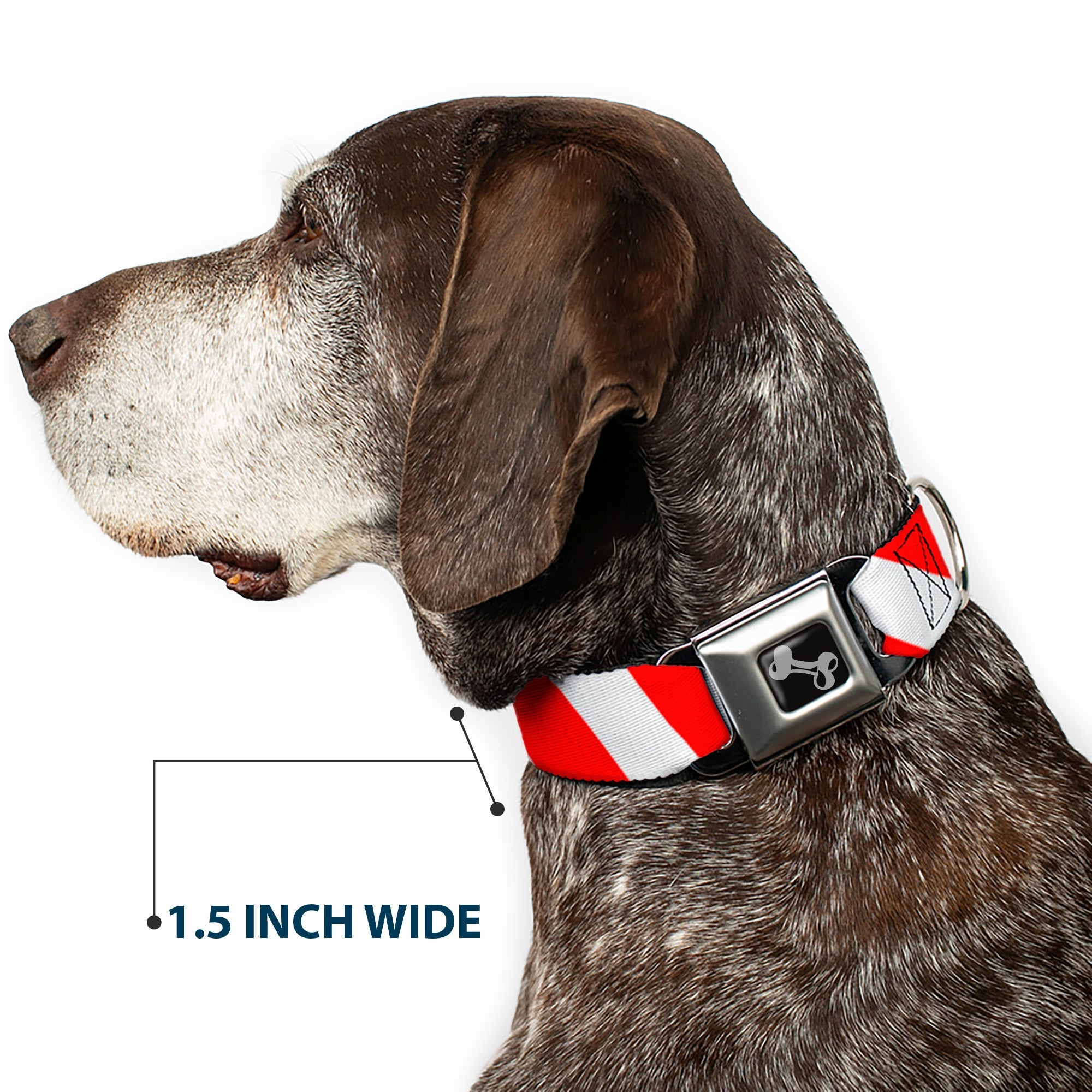 Dog Bone Seatbelt Buckle Collar - Candy Cane2 Stripe White/Red