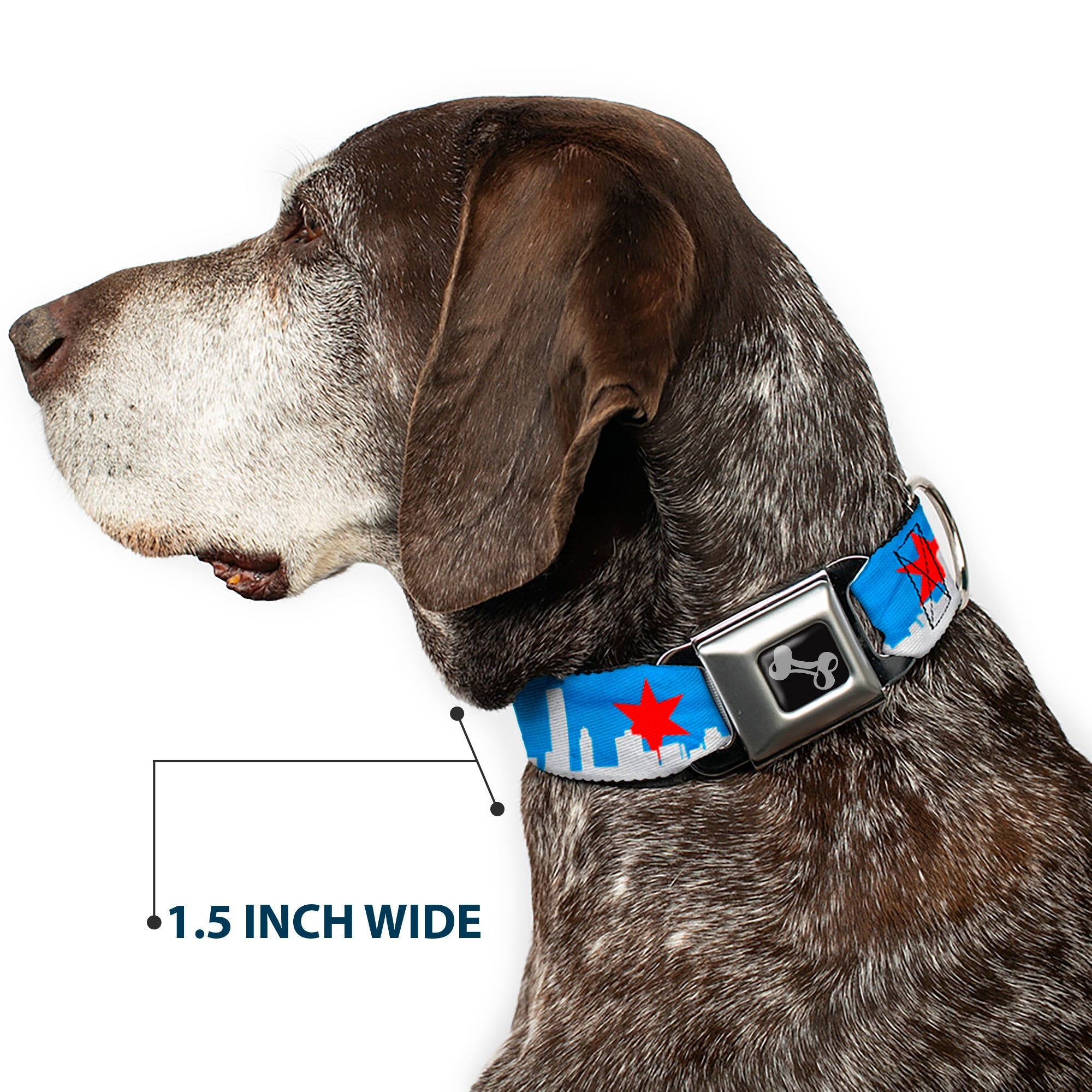 Dog Bone Seatbelt Buckle Collar - Chicago Skyline/Flag Distressed Black/White/Red