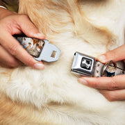Dog Bone Seatbelt Buckle Collar - Cat Faces Stacked
