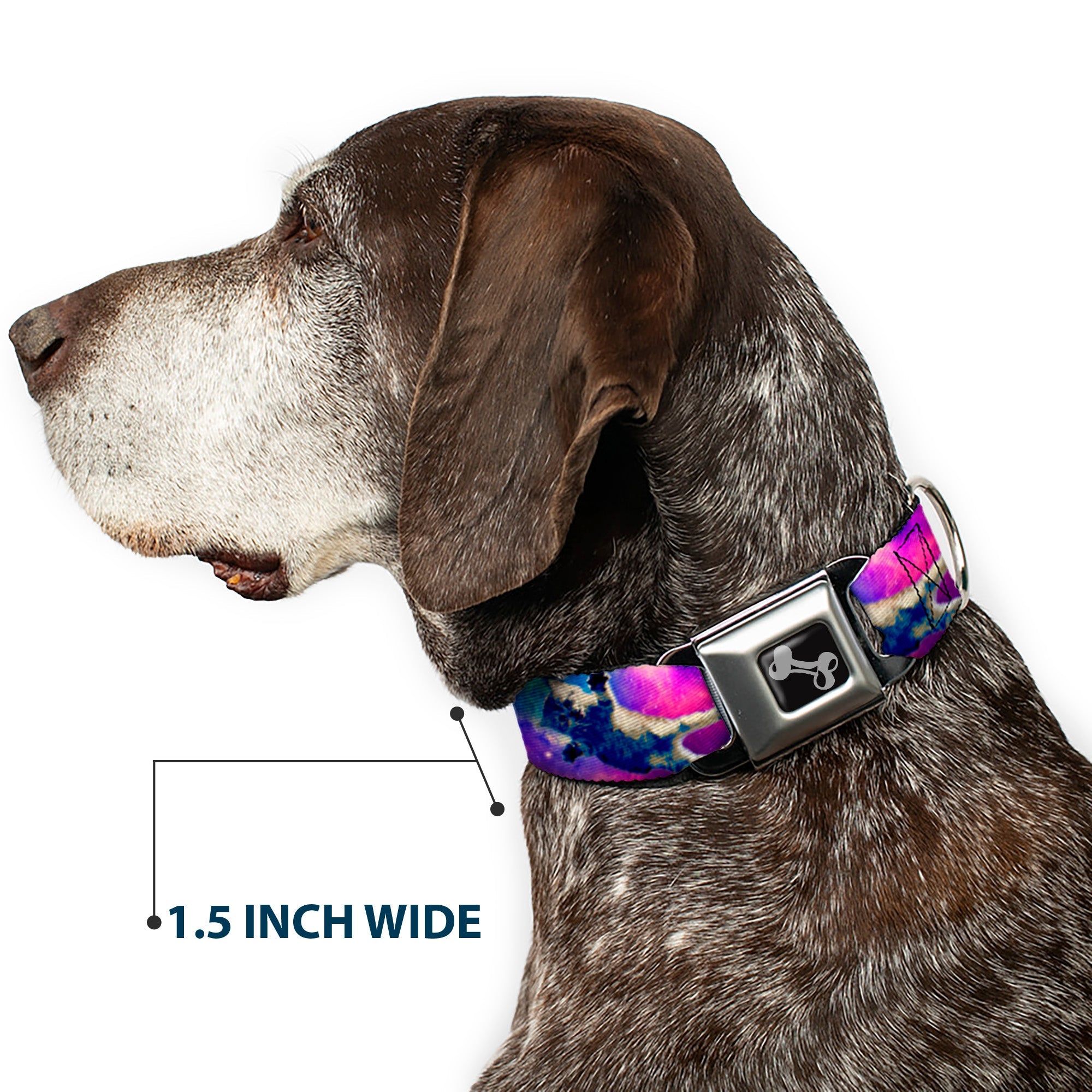Dog Bone Seatbelt Buckle Collar - Cats in Space Pinks/Blues