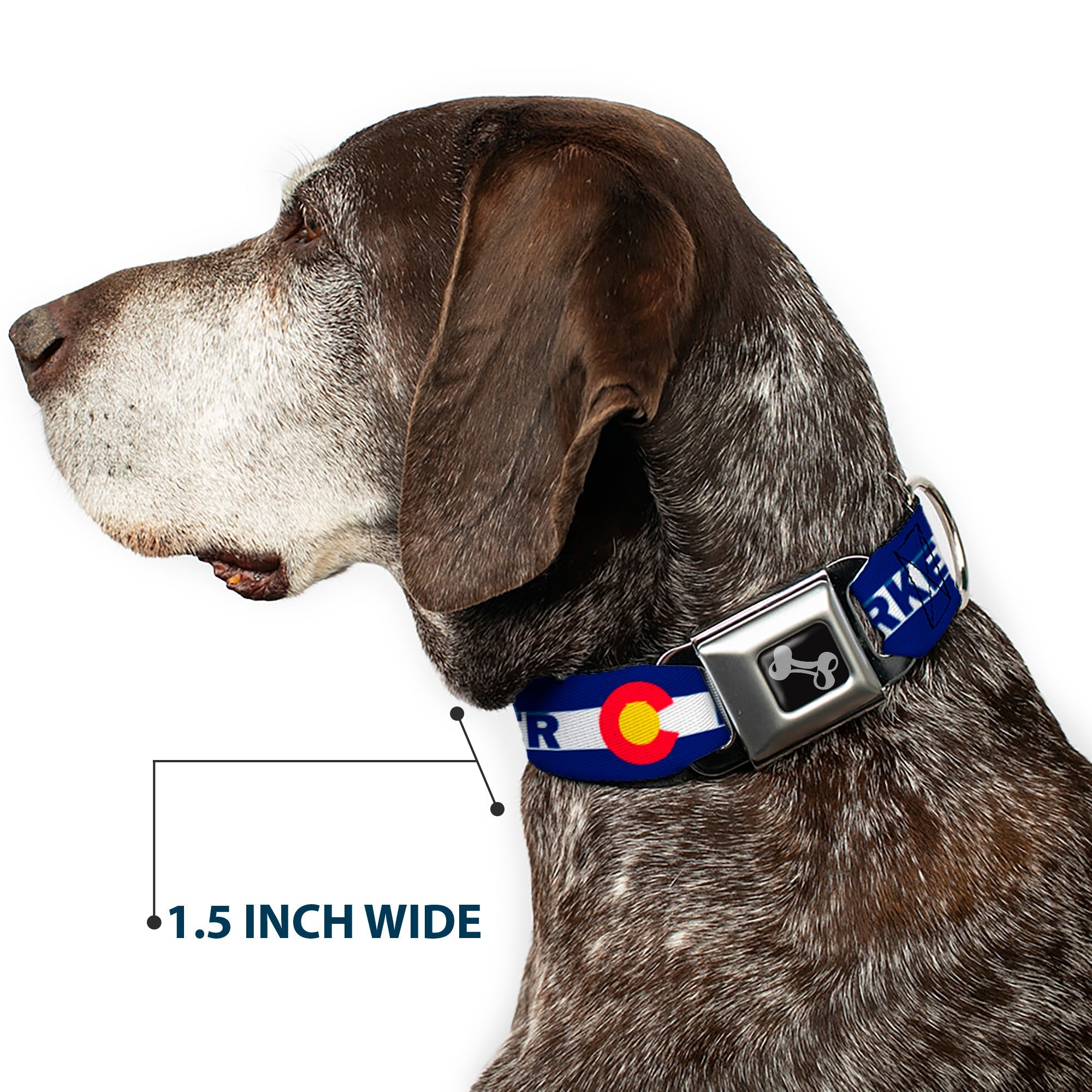 Dog Bone Seatbelt Buckle Collar - Colorado PARKER Flag Blue/White/Red/Yellow