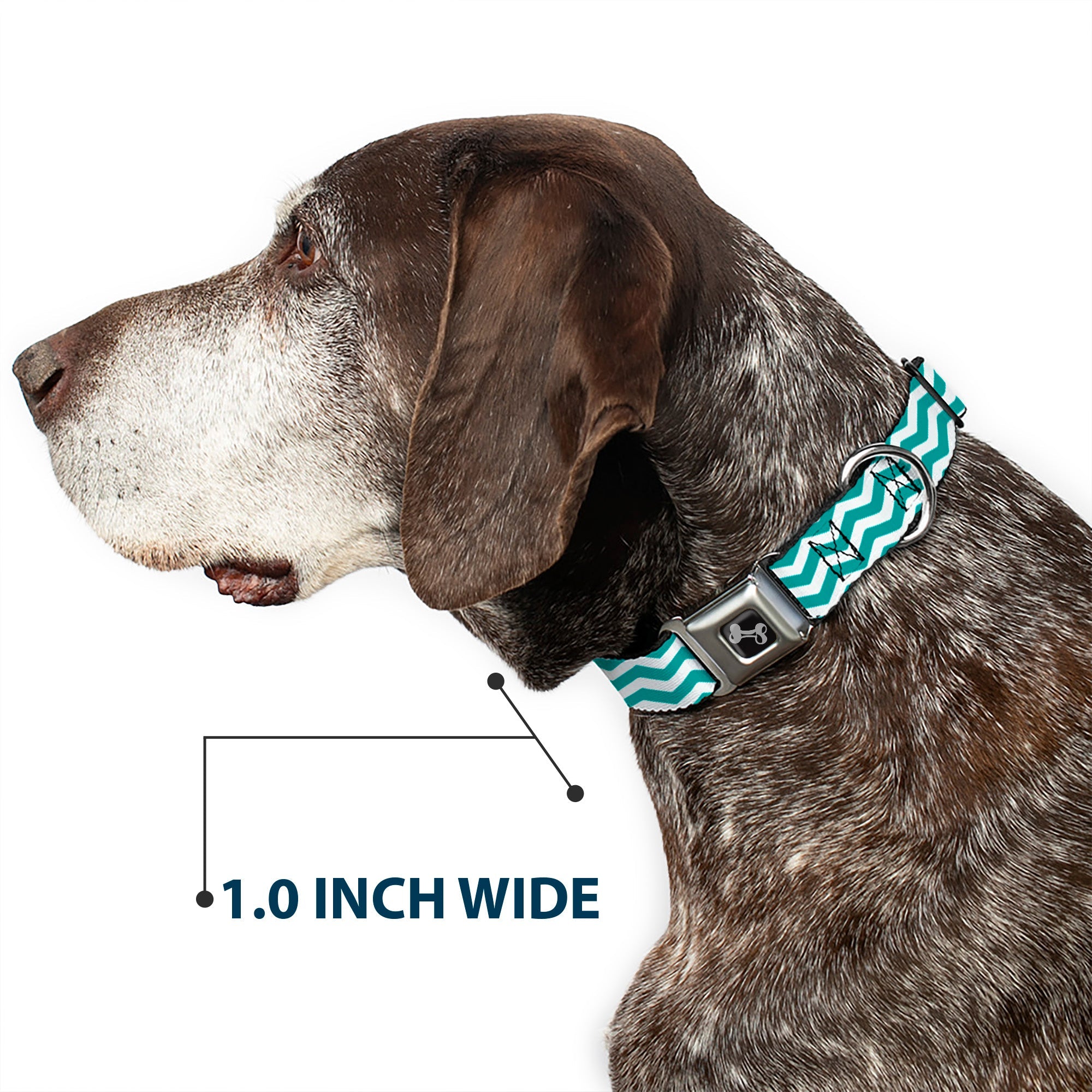 Dog Bone Seatbelt Buckle Collar - Chevron Stripe White/Teal