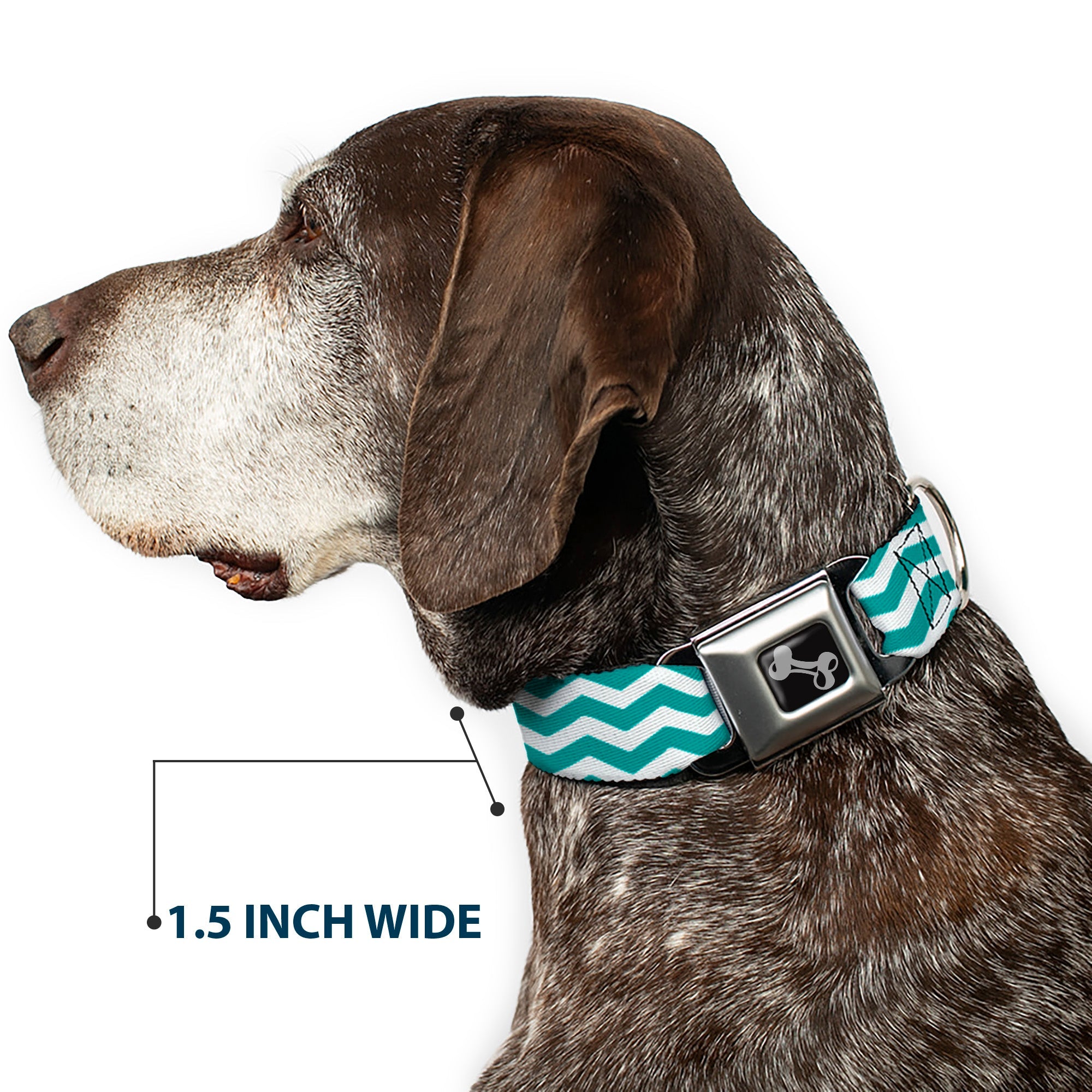 Dog Bone Seatbelt Buckle Collar - Chevron Stripe White/Teal