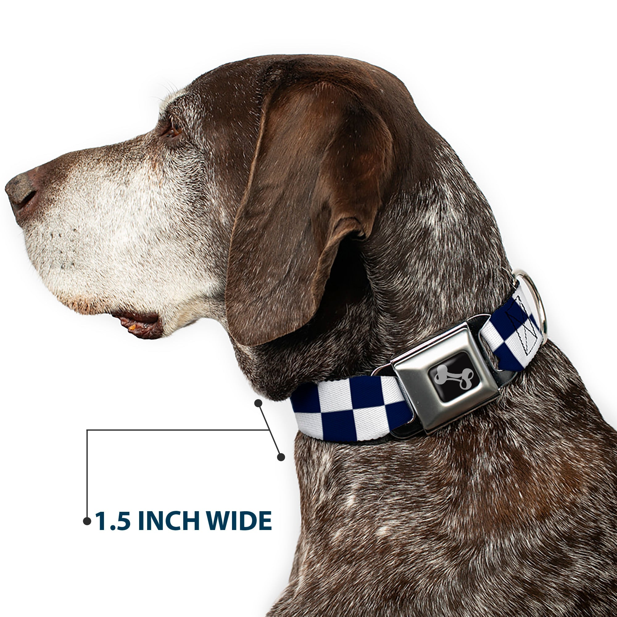 Dog Bone Black/Silver Seatbelt Buckle Collar - Checker Midnight Blue/White