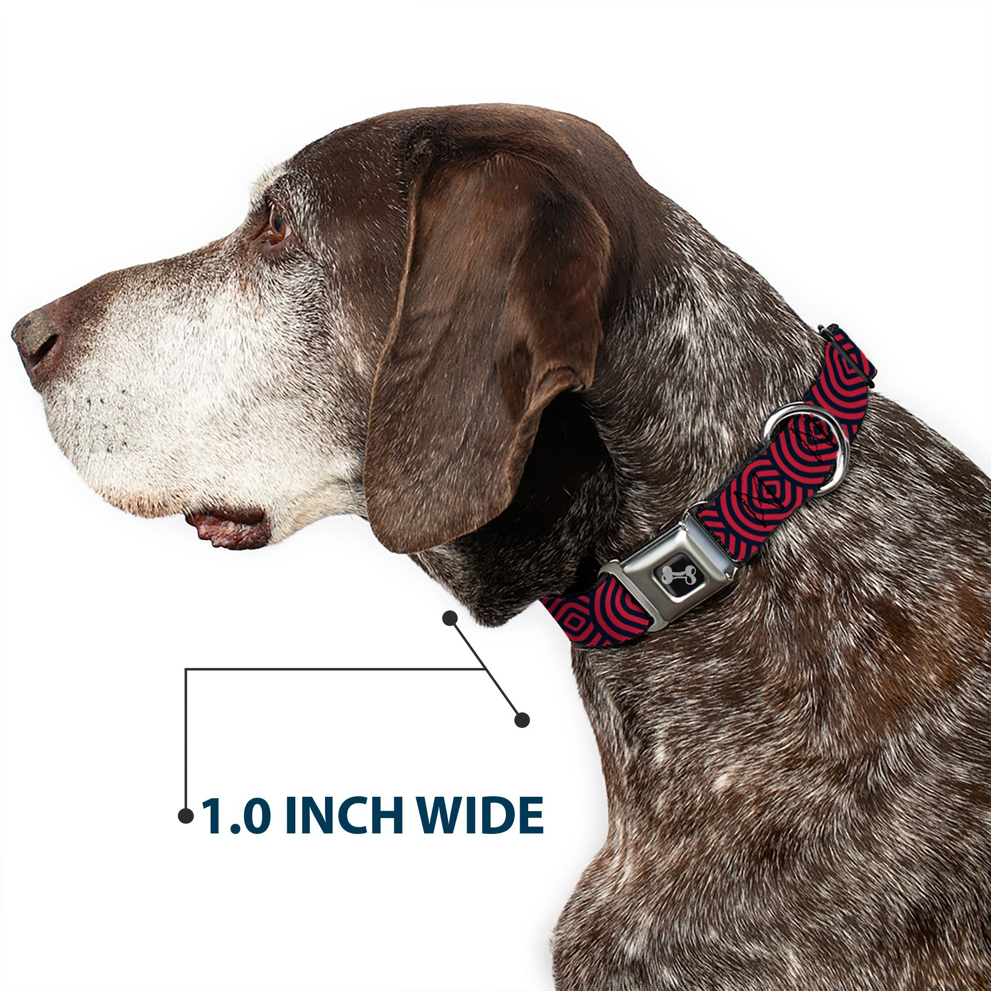 Dog Bone Seatbelt Buckle Collar - Square Target Red/Navy