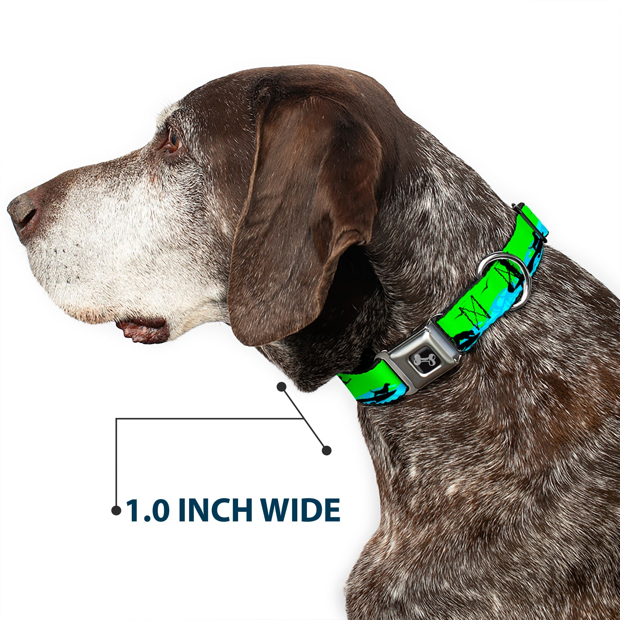 Dog Bone Seatbelt Buckle Collar - SUP w/Dog Neon Green/Blues/Black
