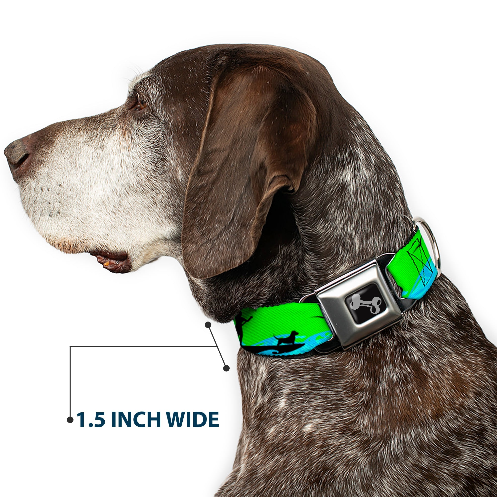 Dog Bone Seatbelt Buckle Collar - SUP w/Dog Neon Green/Blues/Black