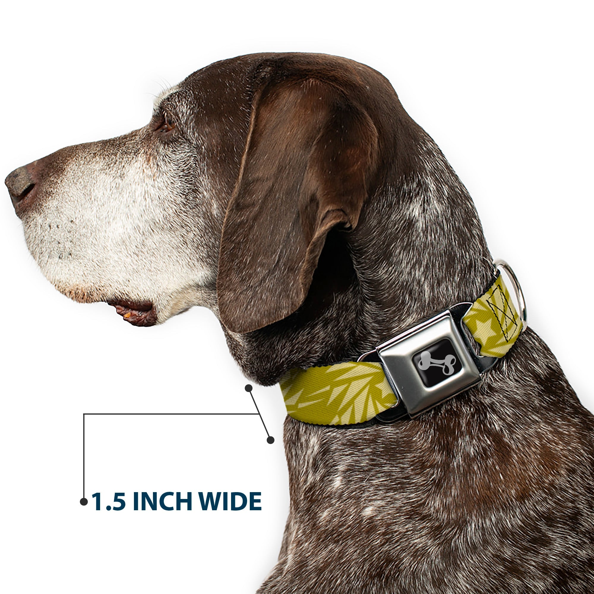 Dog Bone Seatbelt Buckle Collar - Star Pinwheel Olive Greens