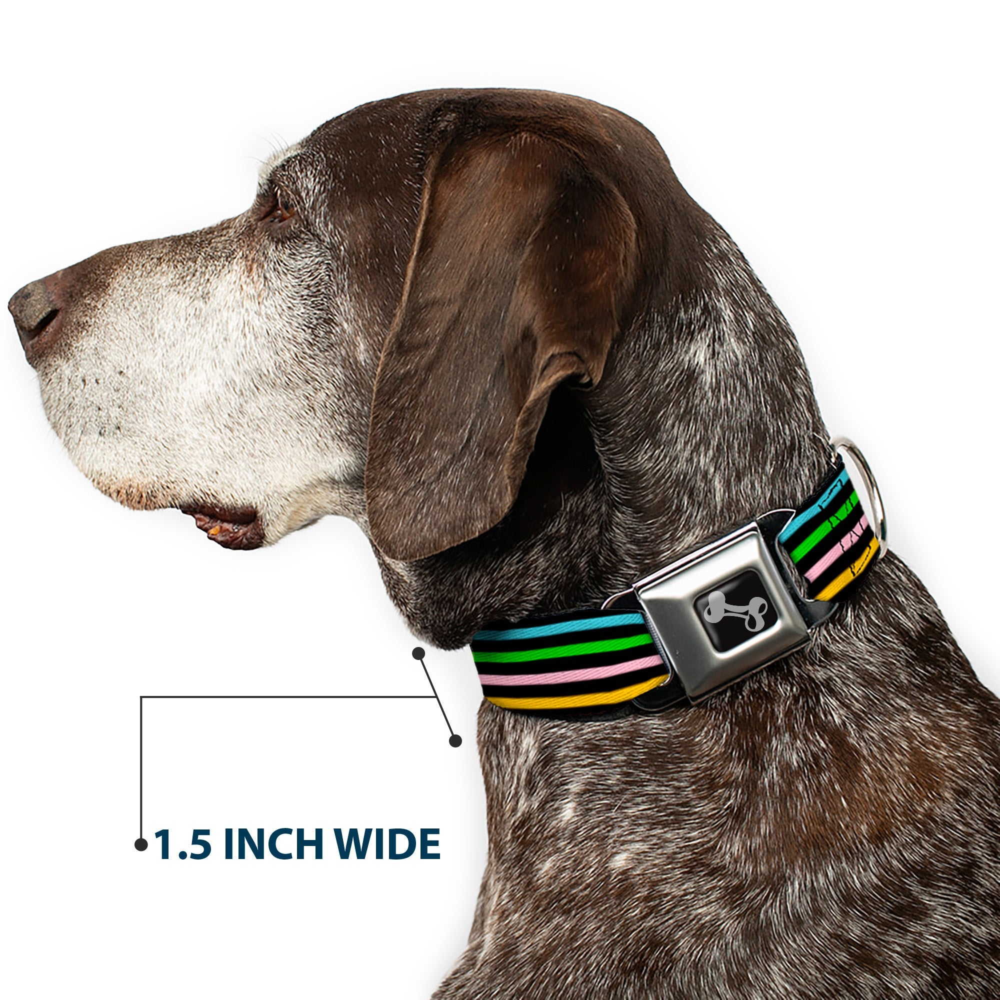 Dog Bone Seatbelt Buckle Collar - Stripe Blocks Black/Multi Pastel