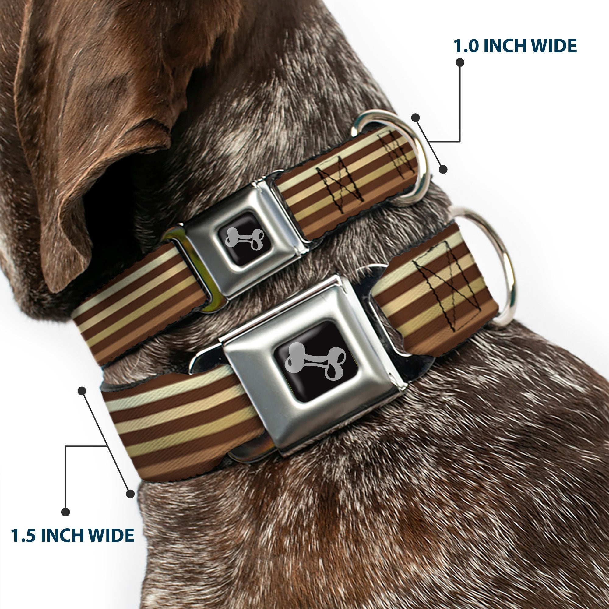 Dog Bone Seatbelt Buckle Collar - Stripe Blocks Browns