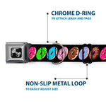 Dog Bone Seatbelt Buckle Collar - Sprinkle Donuts Black/Multi Color