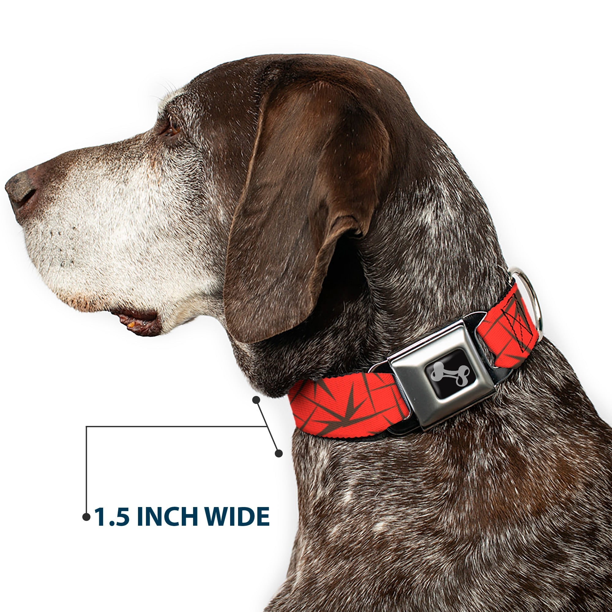 Dog Bone Seatbelt Buckle Collar - Spikes Scattered2 Orange/Brown