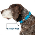Load image into Gallery viewer, Dog Bone Seatbelt Buckle Collar - Solid Water Blue

