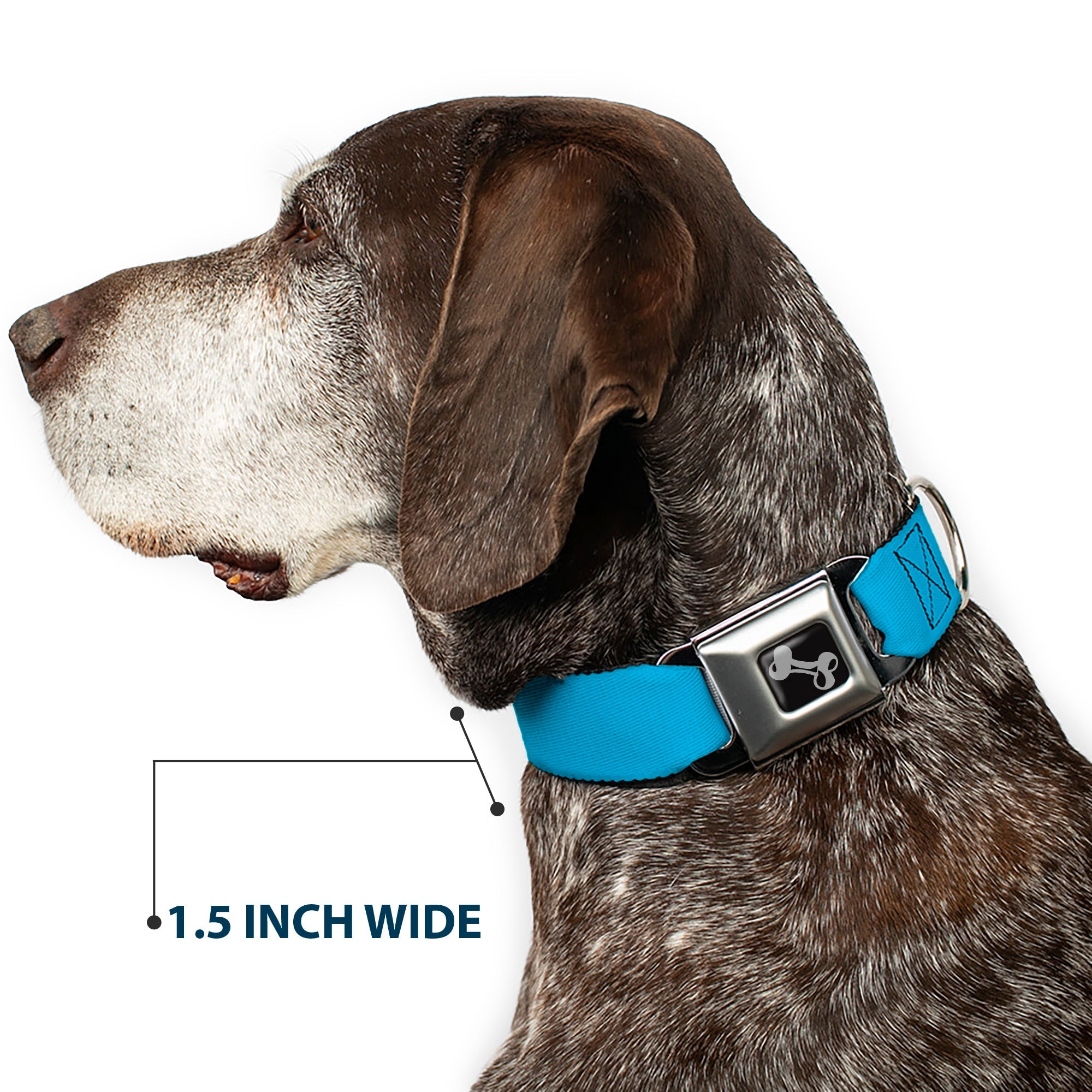 Dog Bone Seatbelt Buckle Collar - Solid Water Blue