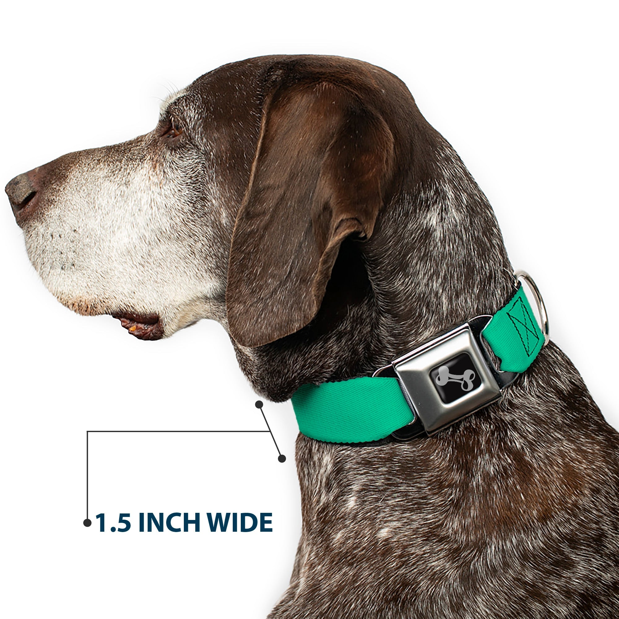 Dog Bone Seatbelt Buckle Collar - Solid Rainforest Green