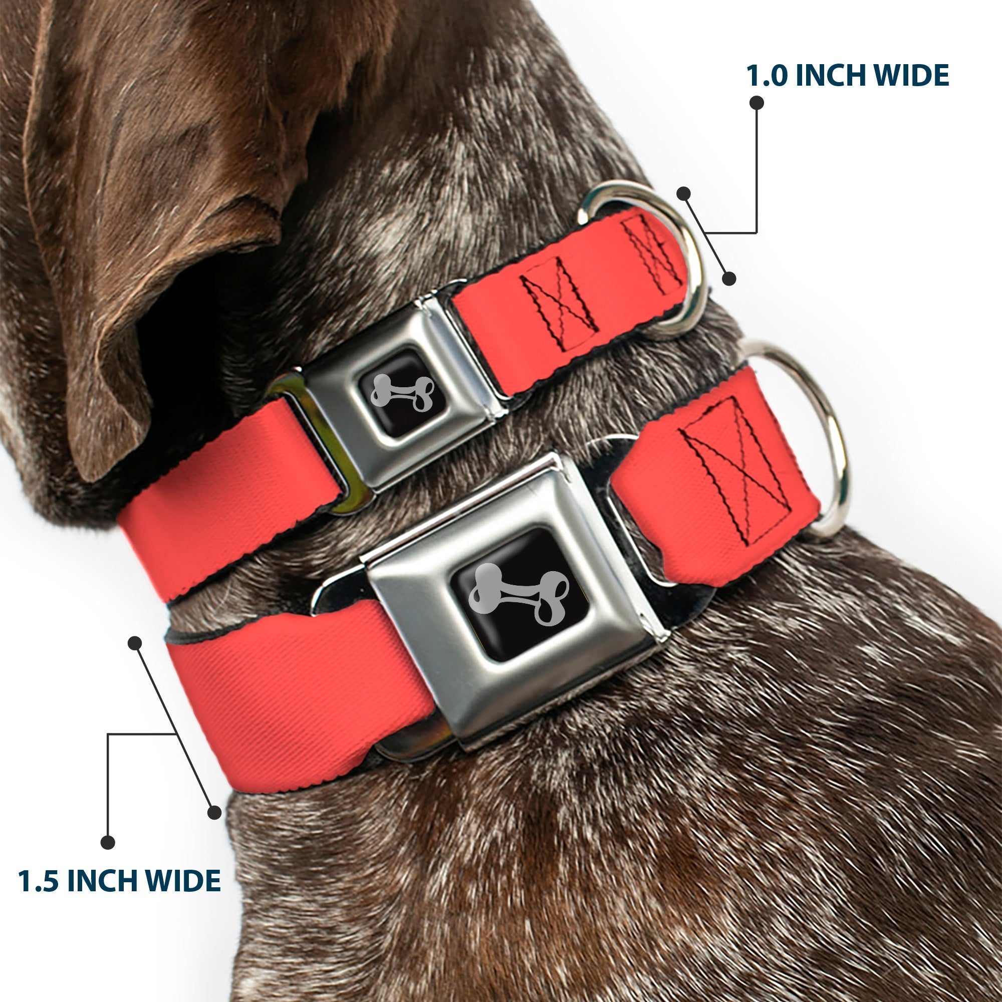 Dog Bone Seatbelt Buckle Collar by Southlake Paws in solid salmon orange, featuring adjustable straps and a metal buckle.