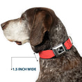 Load image into Gallery viewer, Dog Bone Seatbelt Buckle Collar by Southlake Paws in solid salmon orange, 1.5 inches wide, shown on a dog's neck.
