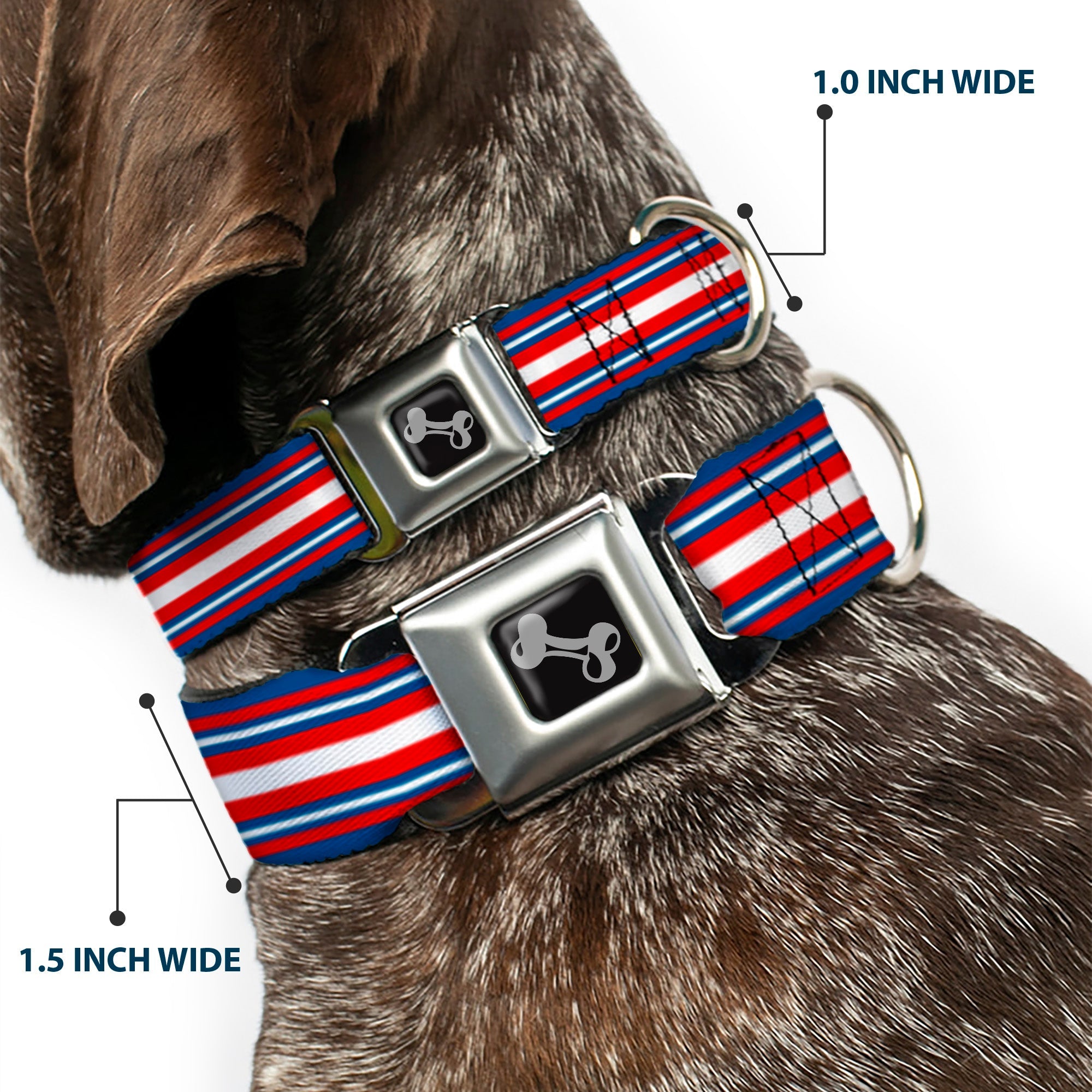 Dog Bone Seatbelt Buckle Collar - Striped Blue/Red/White
