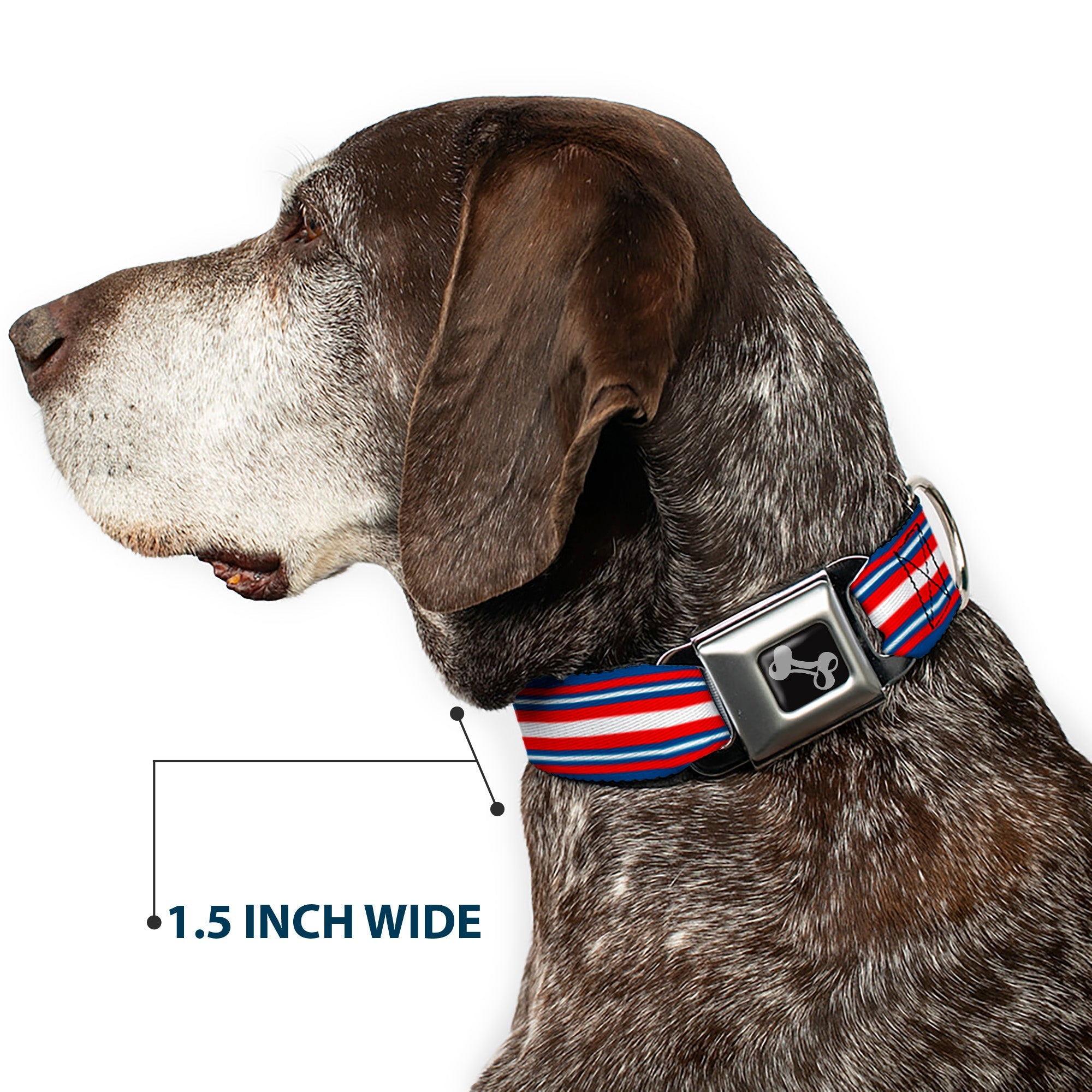 Dog Bone Seatbelt Buckle Collar - Striped Blue/Red/White