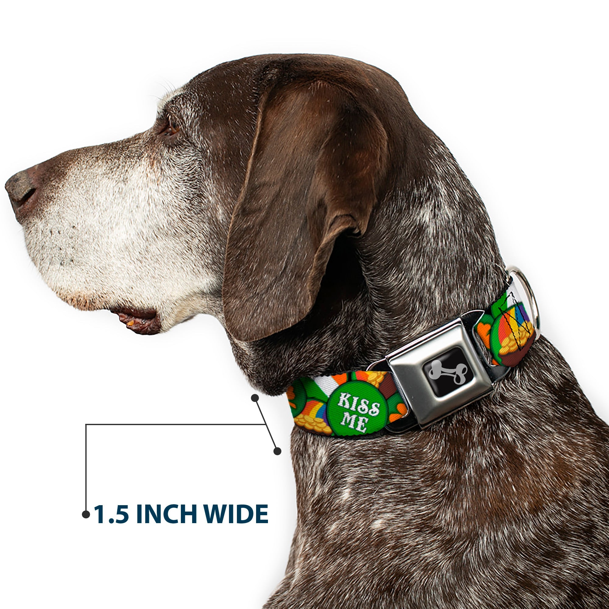 Dog Bone Seatbelt Buckle Collar - St. Pat's 4-Buttons Stacked