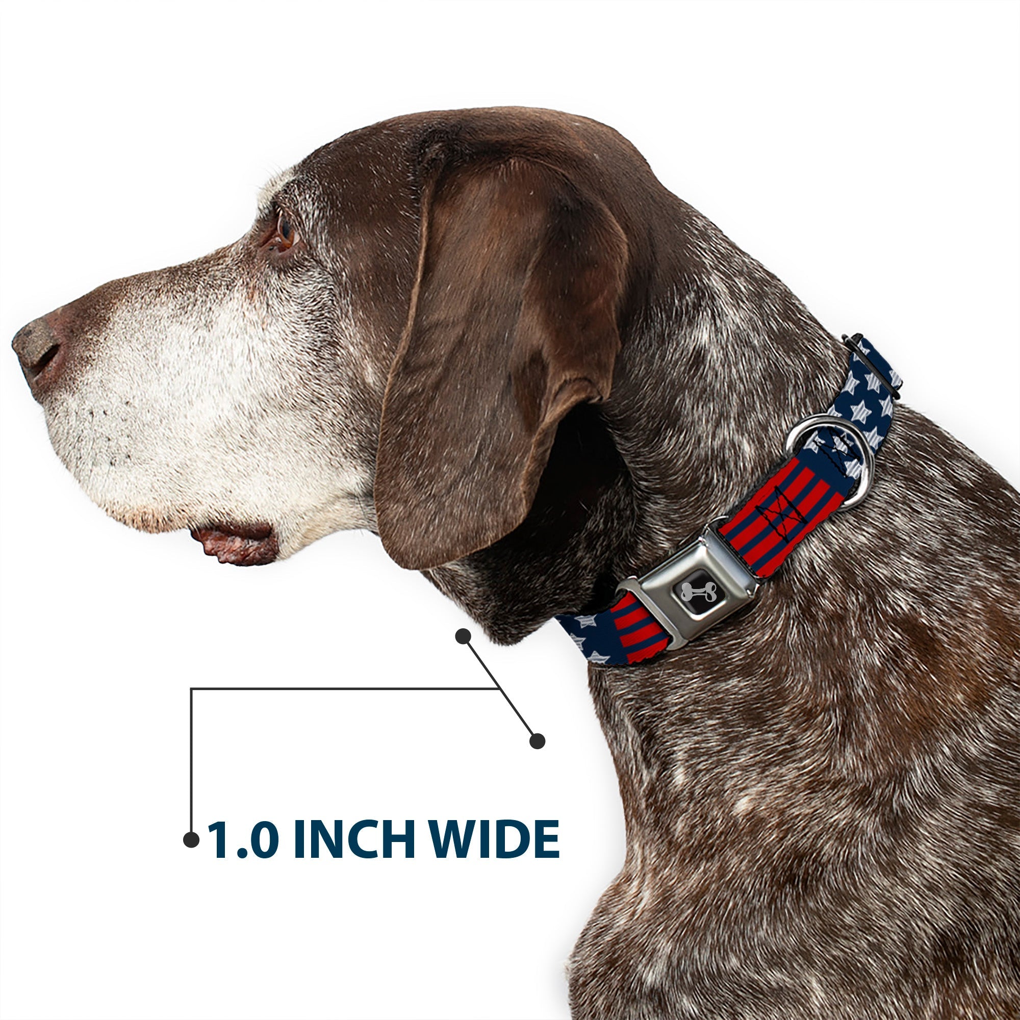 Dog Bone Seatbelt Buckle Collar - Stars & Stripes2 Blue/White/Red