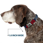Dog Bone Seatbelt Buckle Collar - Stars & Stripes2 Blue/White/Red