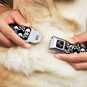Dog Bone Black/Silver Seatbelt Buckle Collar - Skull & Cross Bones Staggered Black/White