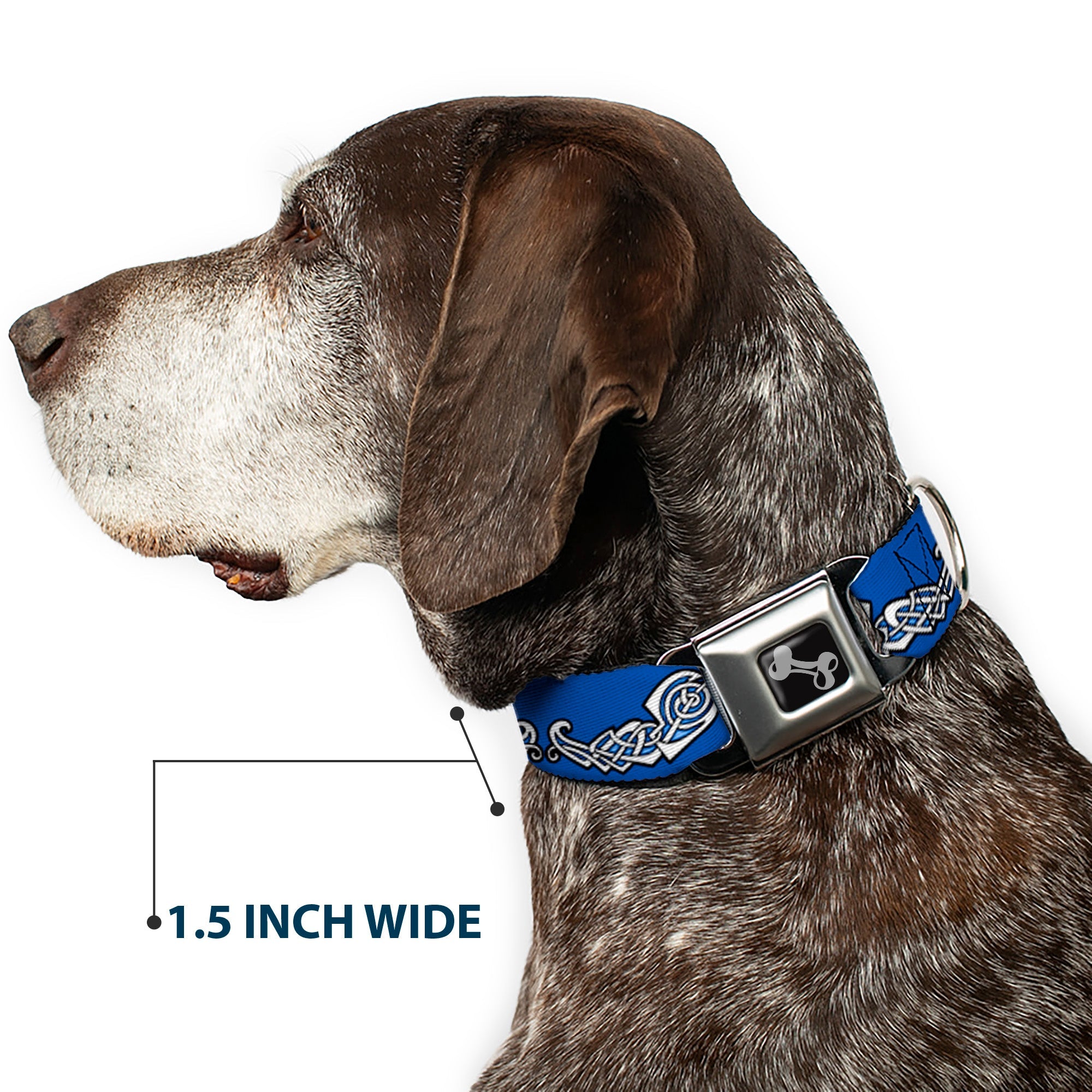 Dog Bone Seatbelt Buckle Collar - Celtic Knot4 Blues/Black/White