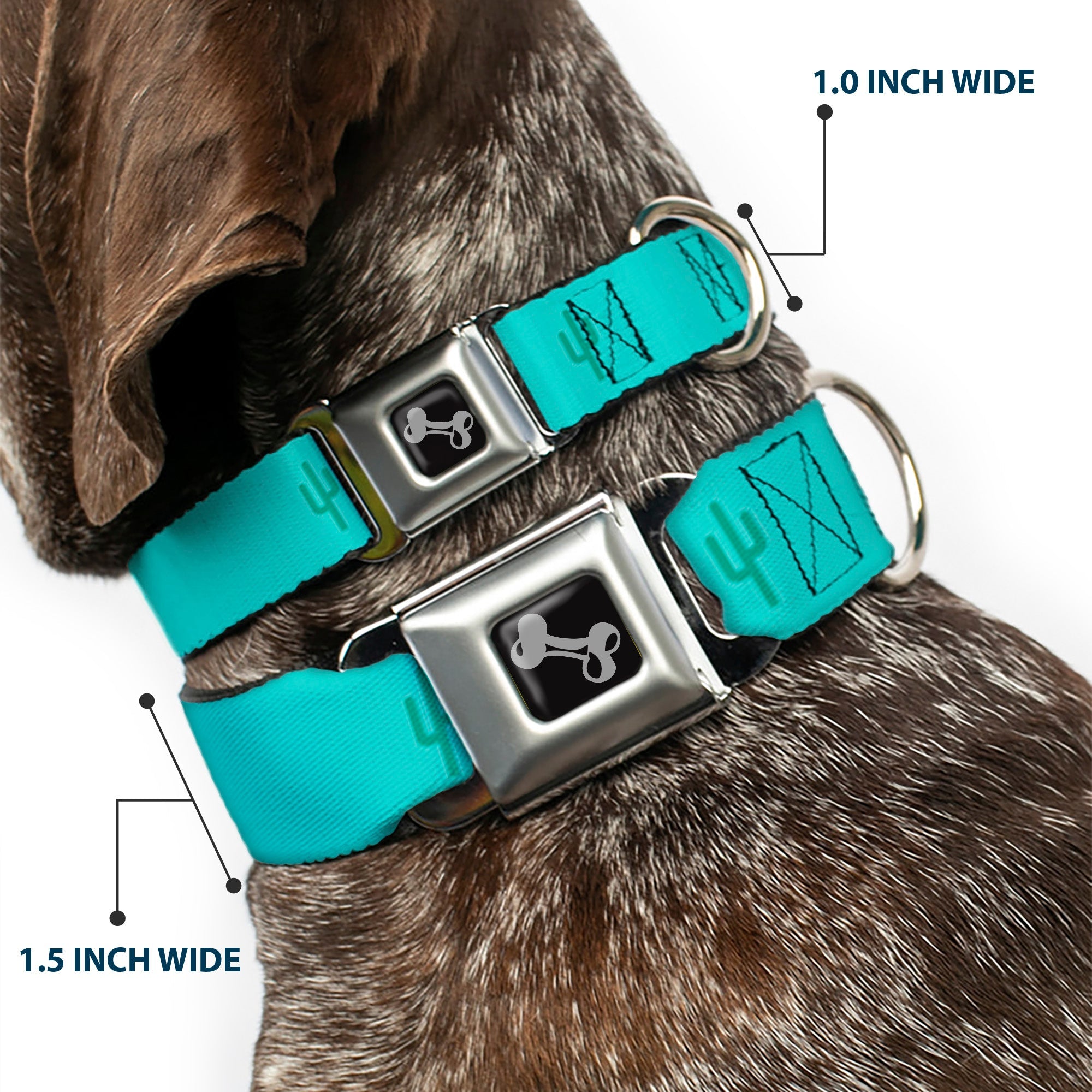 Dog Bone Seatbelt Buckle Collar - Cacti1 Aqua Blues