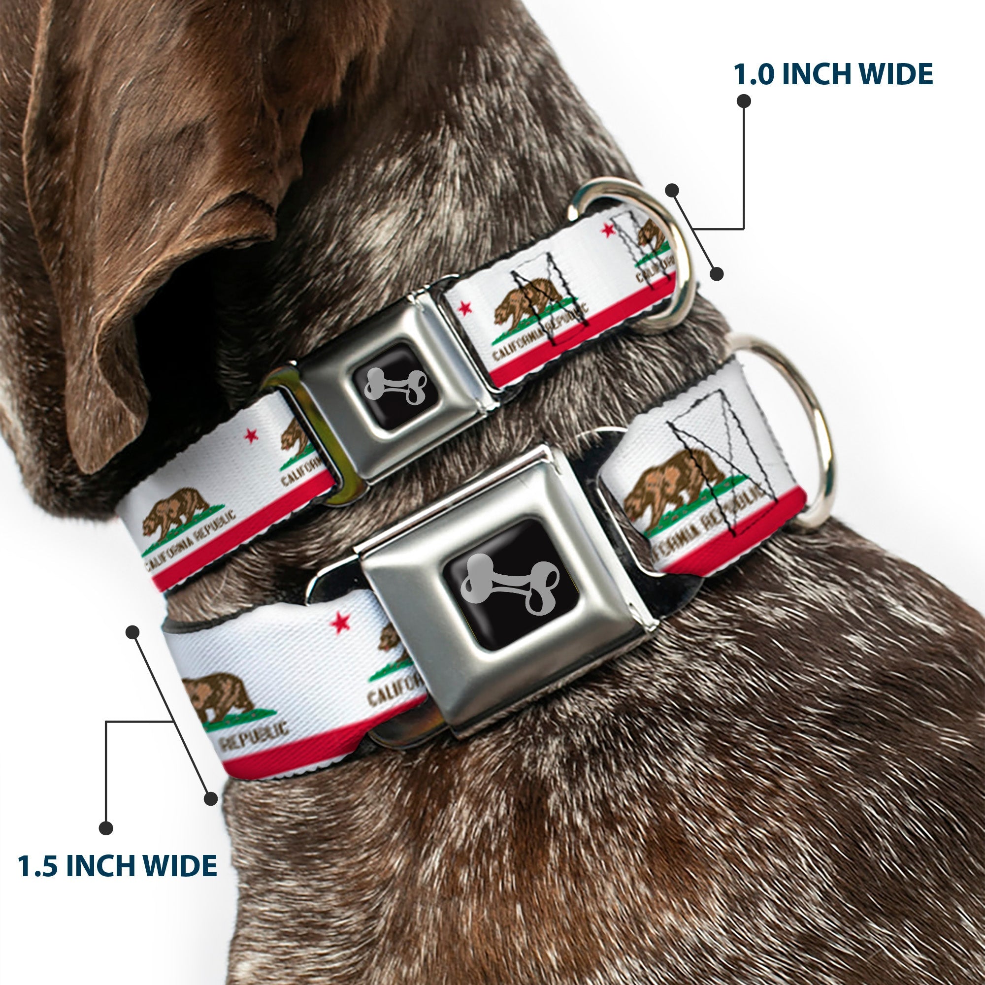 Dog Bone Black/Silver Seatbelt Buckle Collar - California Flag Continuous