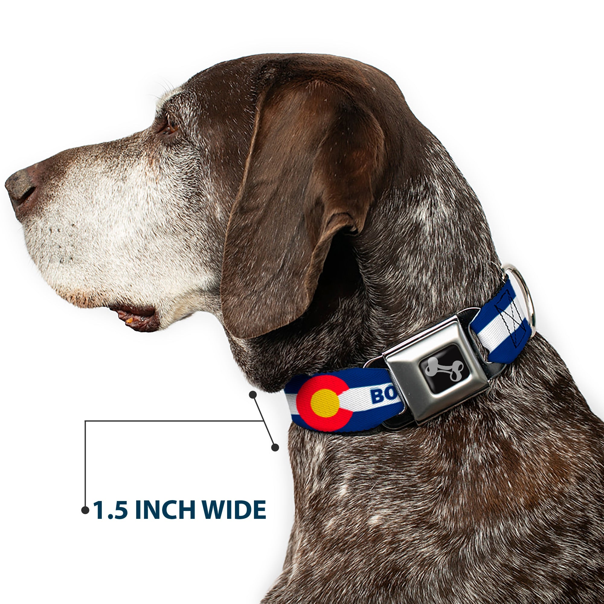 Dog Bone Black/Silver Seatbelt Buckle Collar - Colorado BOULDER Flag Blue/White/Red/Yellow