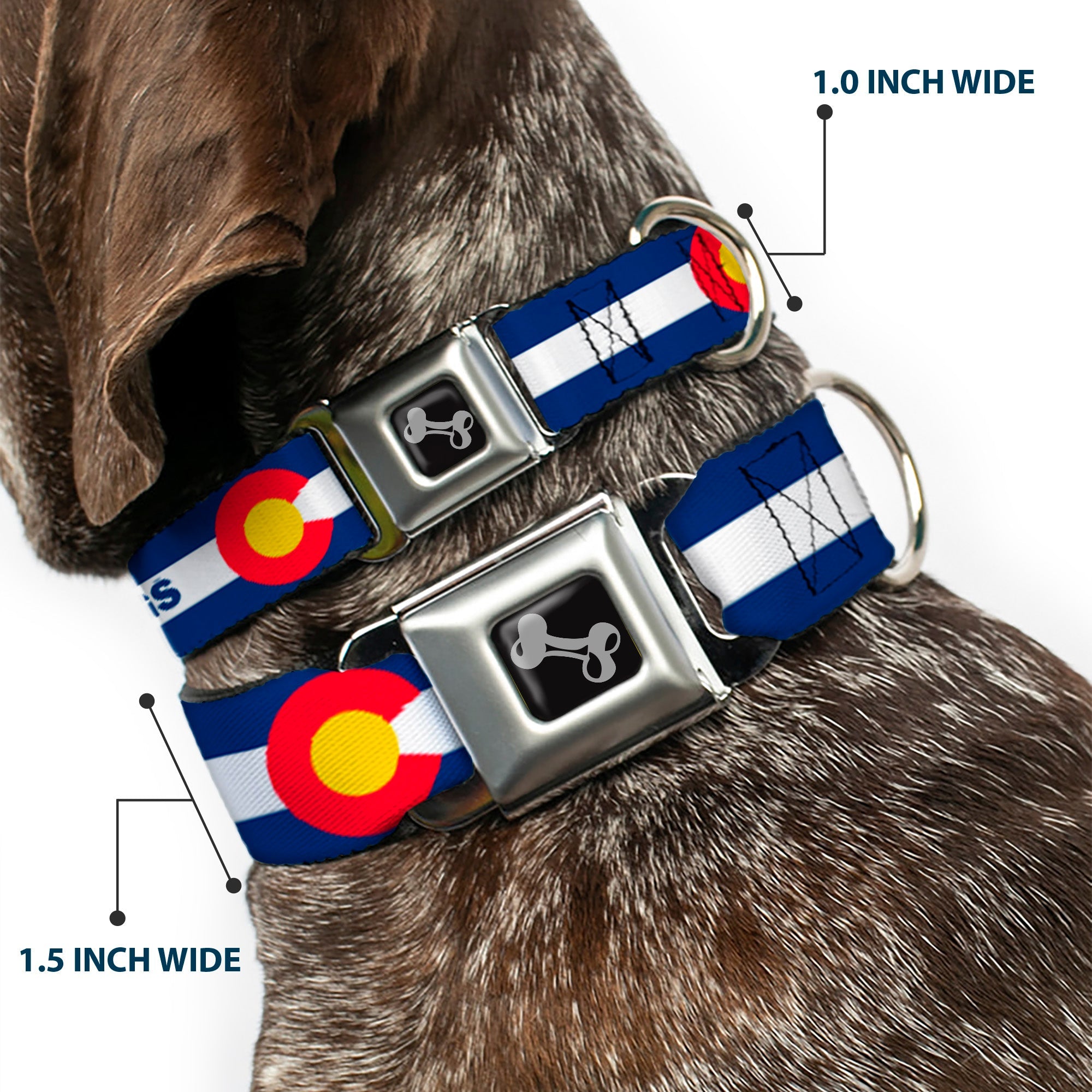 Dog Bone Black/Silver Seatbelt Buckle Collar - Colorado MANITOU SPRINGS Flag Blue/White/Red/Yellow