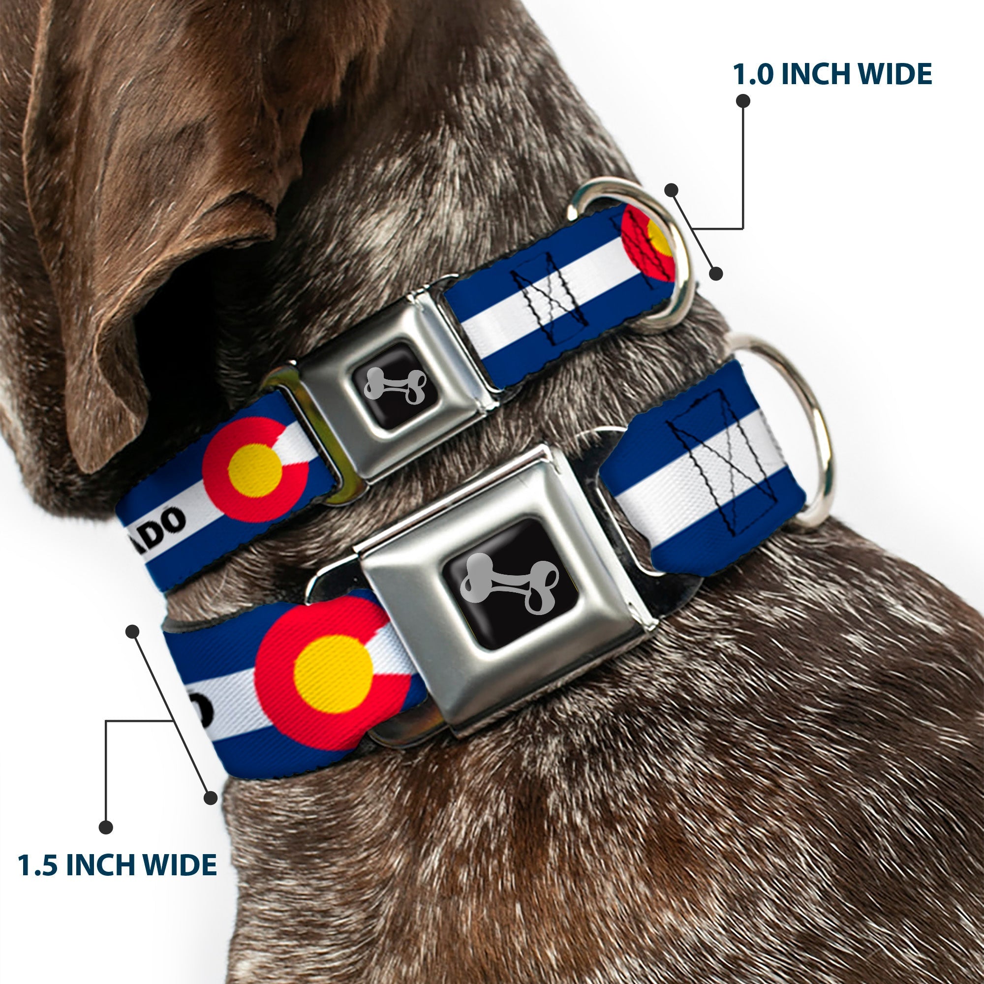 Dog Bone Black/Silver Seatbelt Buckle Collar - COLORADO Text Flag Blue/White/Red/Yellow