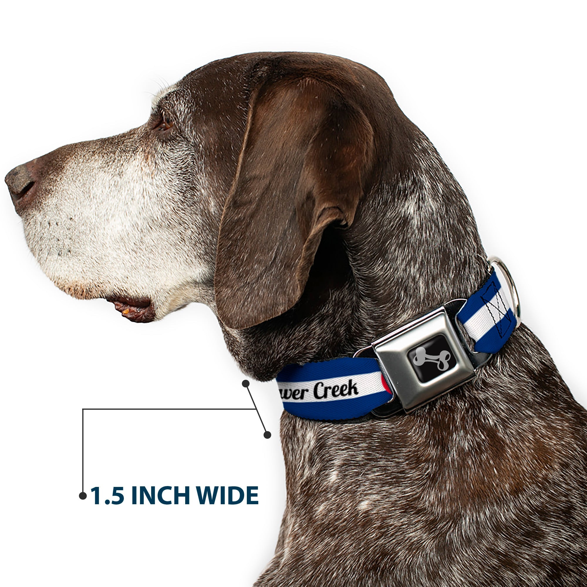 Dog Bone Black/Silver Seatbelt Buckle Collar - Colorado BEAVER CREEK Flag Blue/White/Red/Yellow