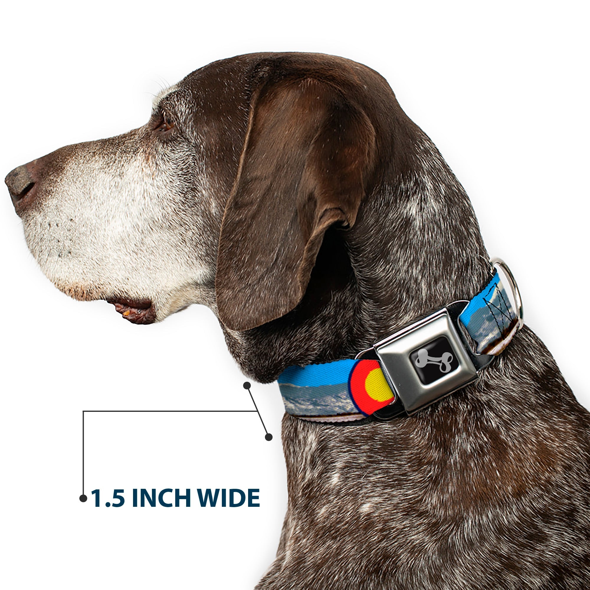 Seatbelt Buckle Collar - Colorado Mount Evans Vivid Landscape/Colorado Flag Icon