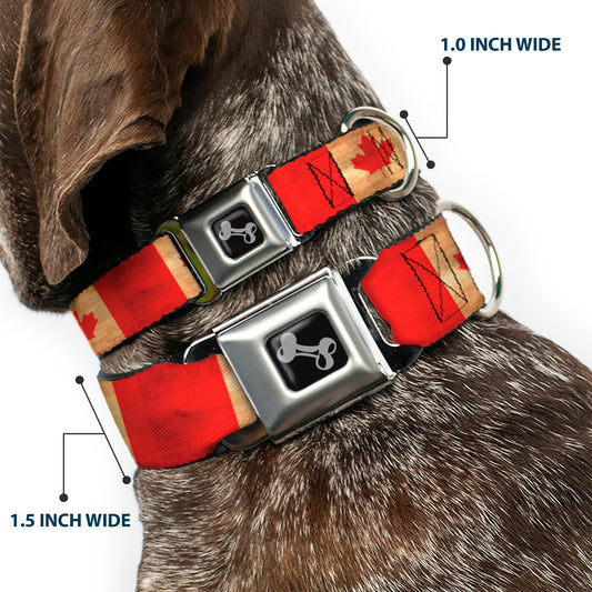 Dog Bone Black/Silver Seatbelt Buckle Collar - Canada Flag Continuous Vintage