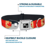 Dog Bone Black/Silver Seatbelt Buckle Collar - Canada Flag Continuous Vintage