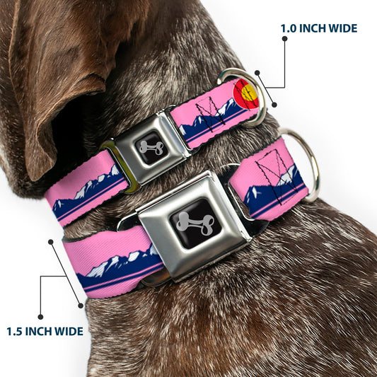 Dog Bone Black/Silver Seatbelt Buckle Collar - Colorado Flag Icon Mountain Skyline Pink/Blue/White