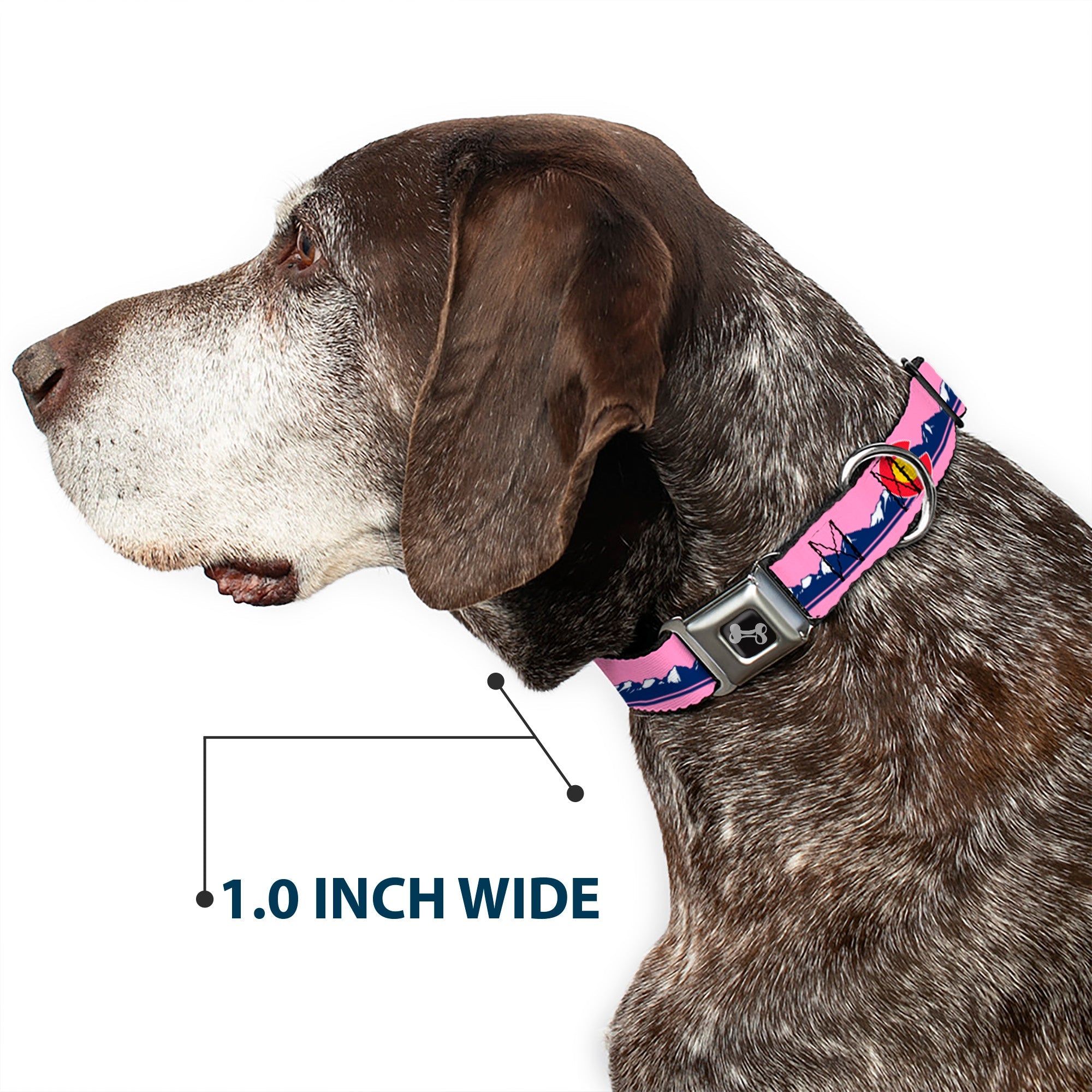 Dog Bone Black/Silver Seatbelt Buckle Collar - Colorado Flag Icon Mountain Skyline Pink/Blue/White