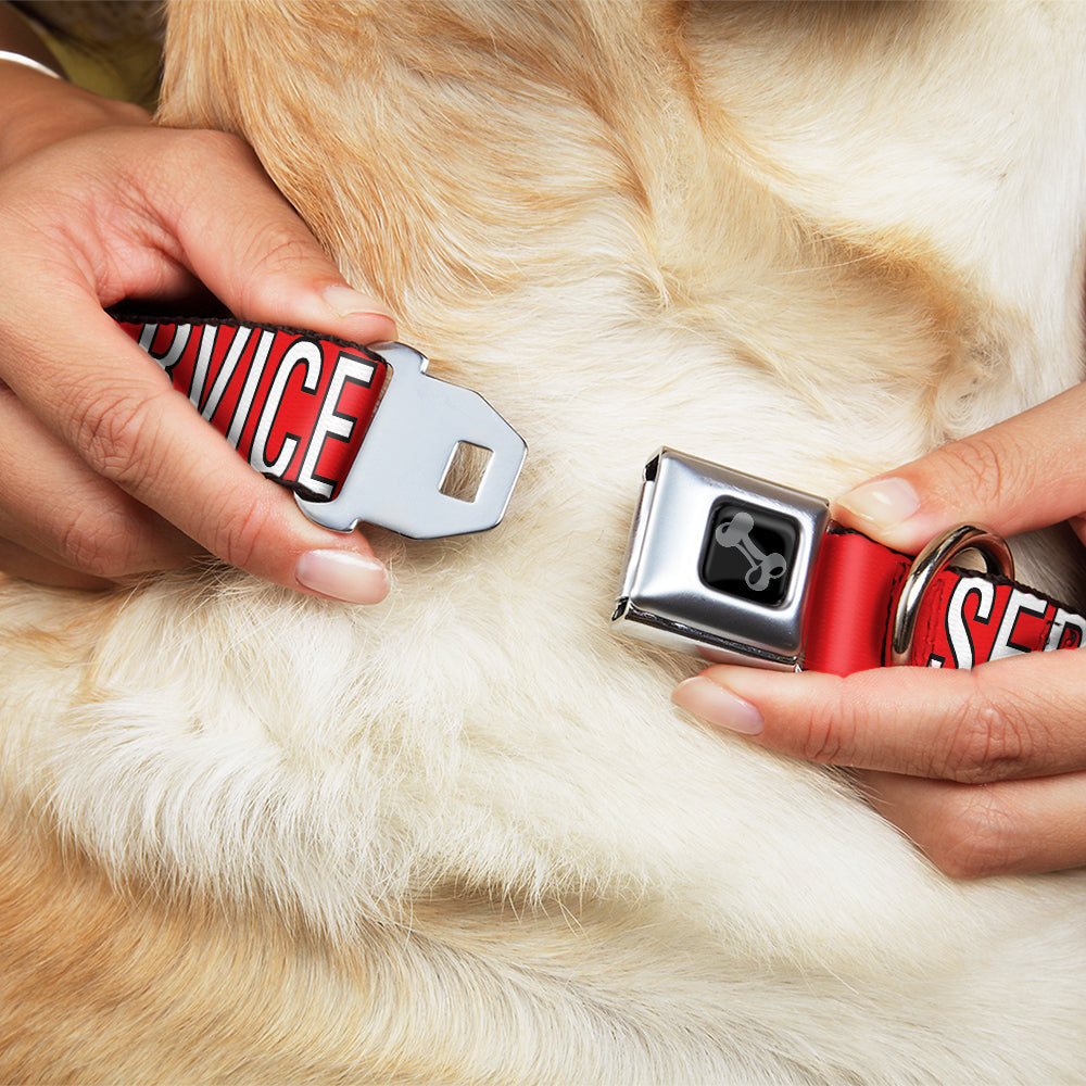 Dog Bone Black/Silver Seatbelt Buckle Collar - SERVICE DOG Red/Black/White